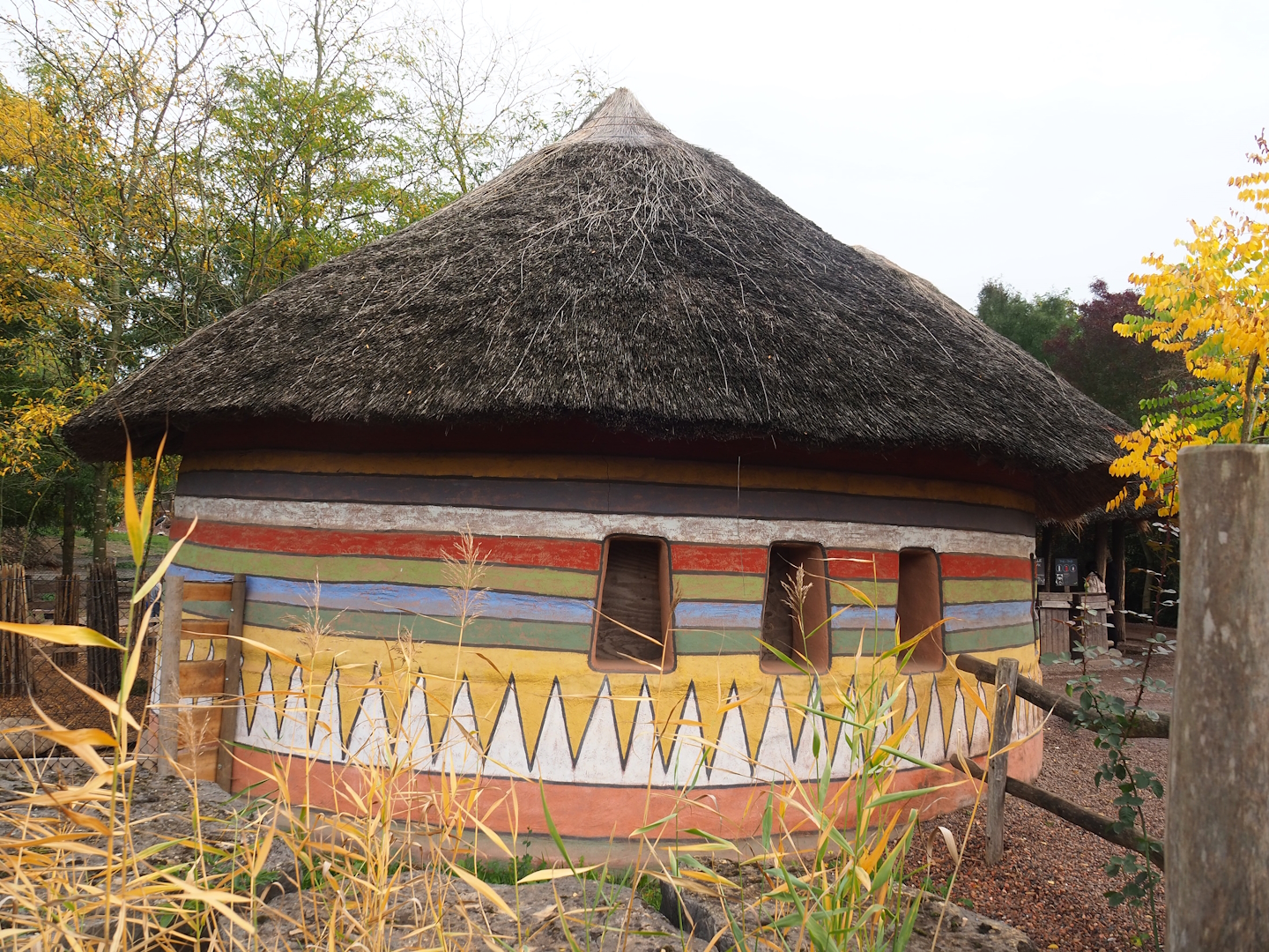 African spurred tortoise barn, 2023-10-13