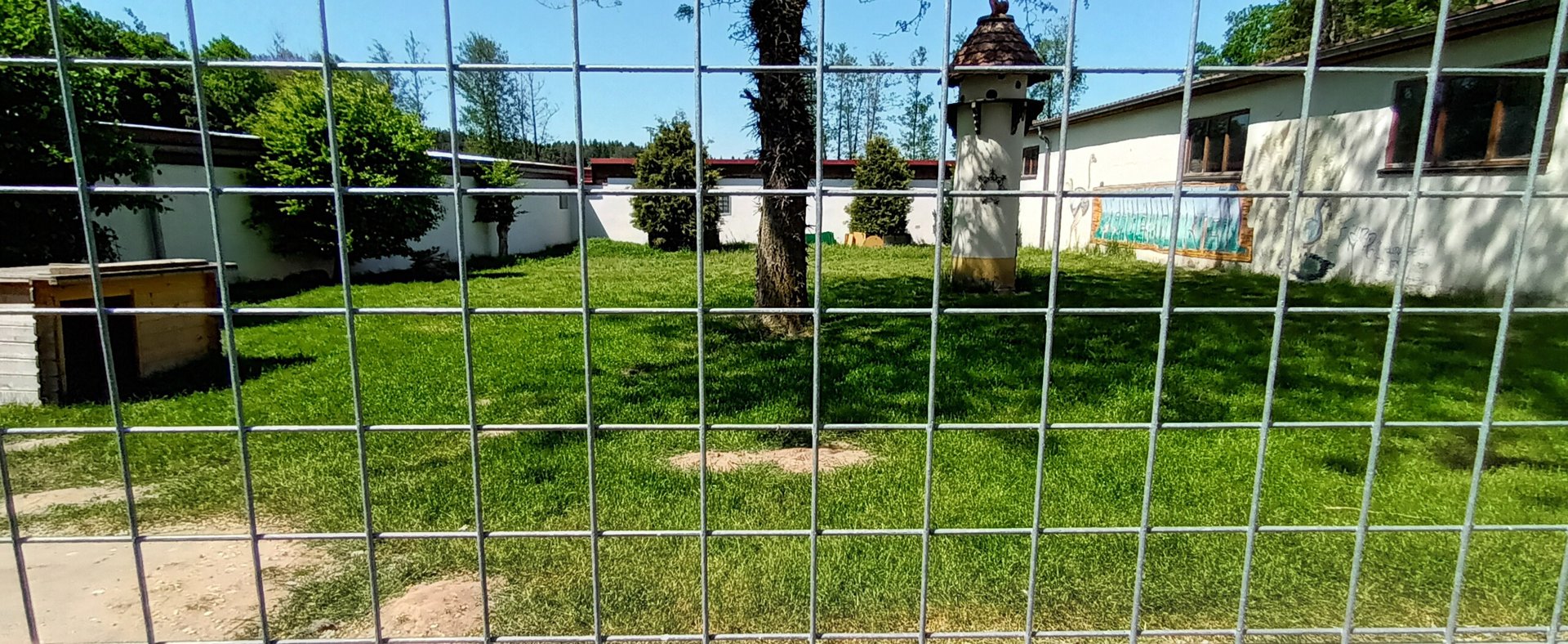African spurred Tortoise, Domestic Chicken and Indian Peafowl Enclosure