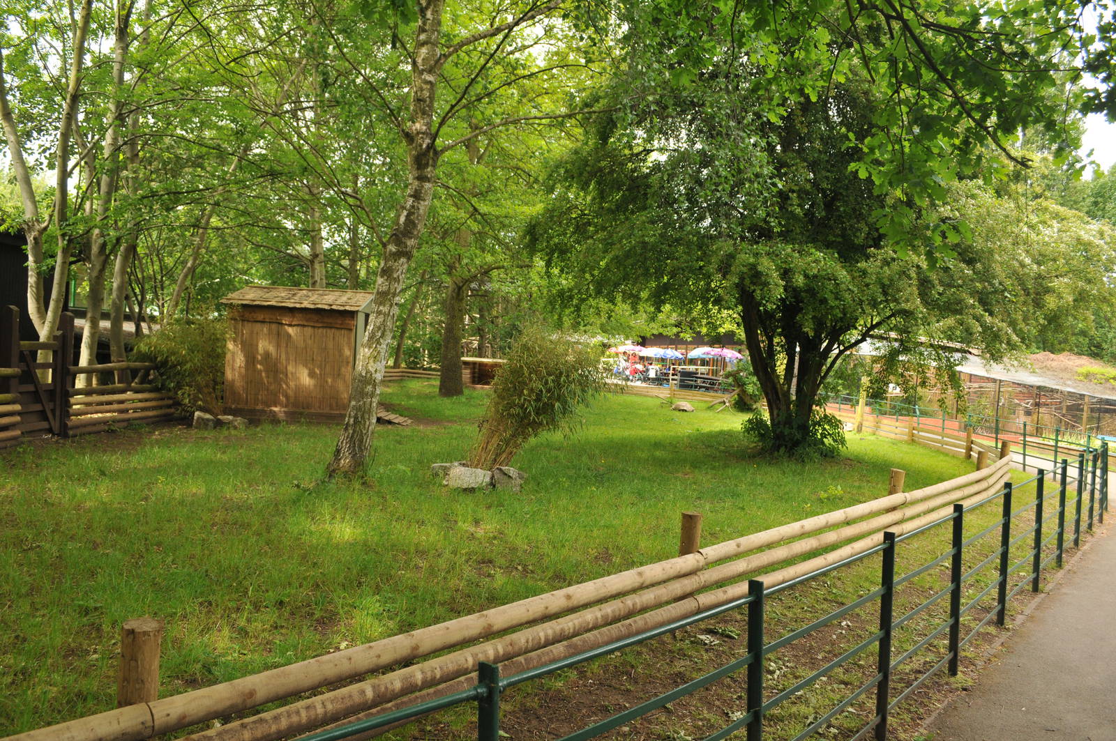 AFRICAN SPURRED TORTOISE ENCLOAURE