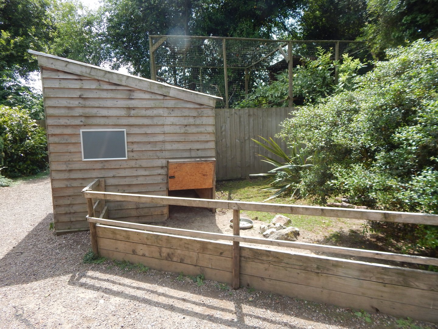 African spurred tortoise enclosure 060625