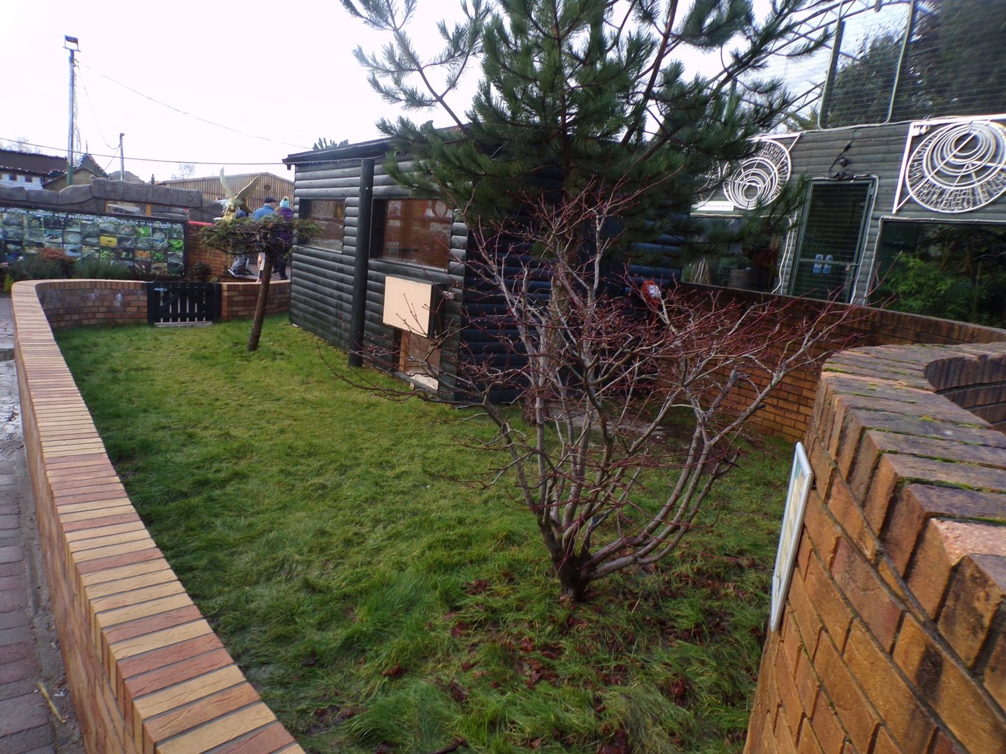 African spurred tortoise enclosure 1.1.23