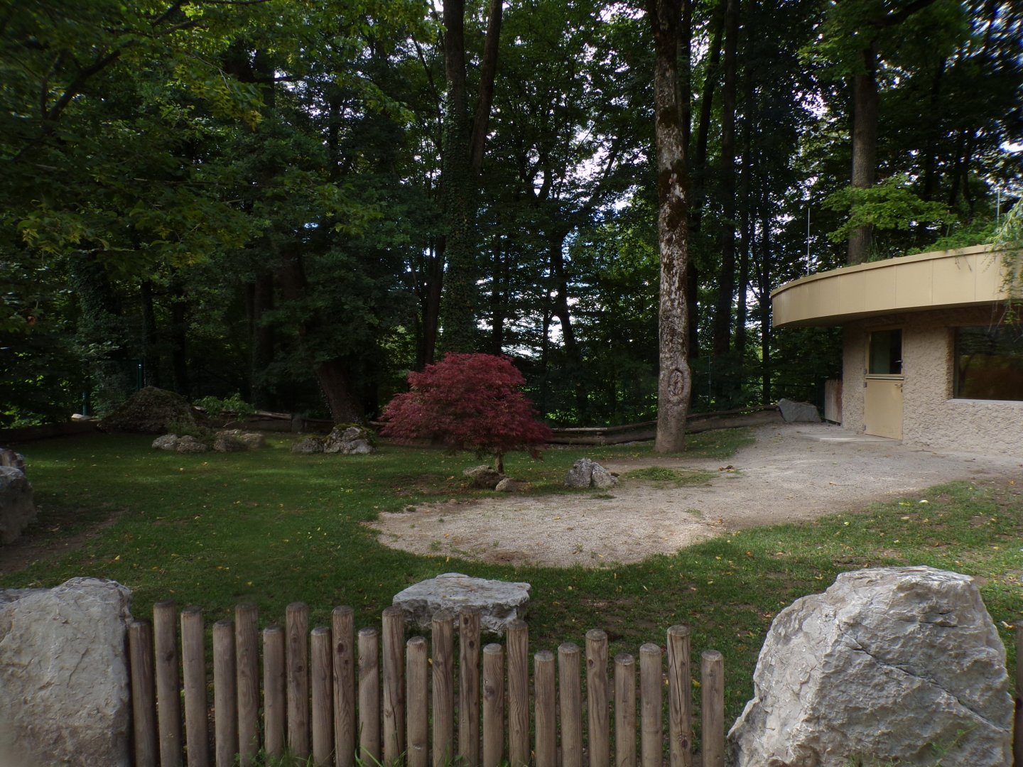 African spurred tortoise enclosure 13.7.25