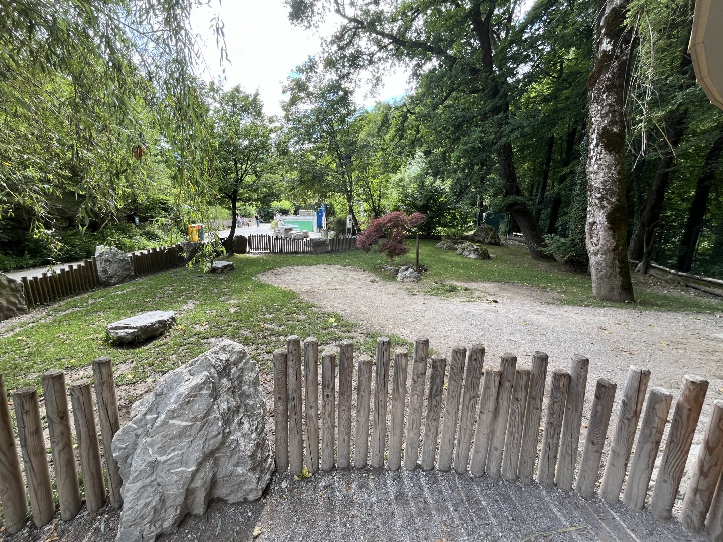 African spurred tortoise enclosure 13.7.25