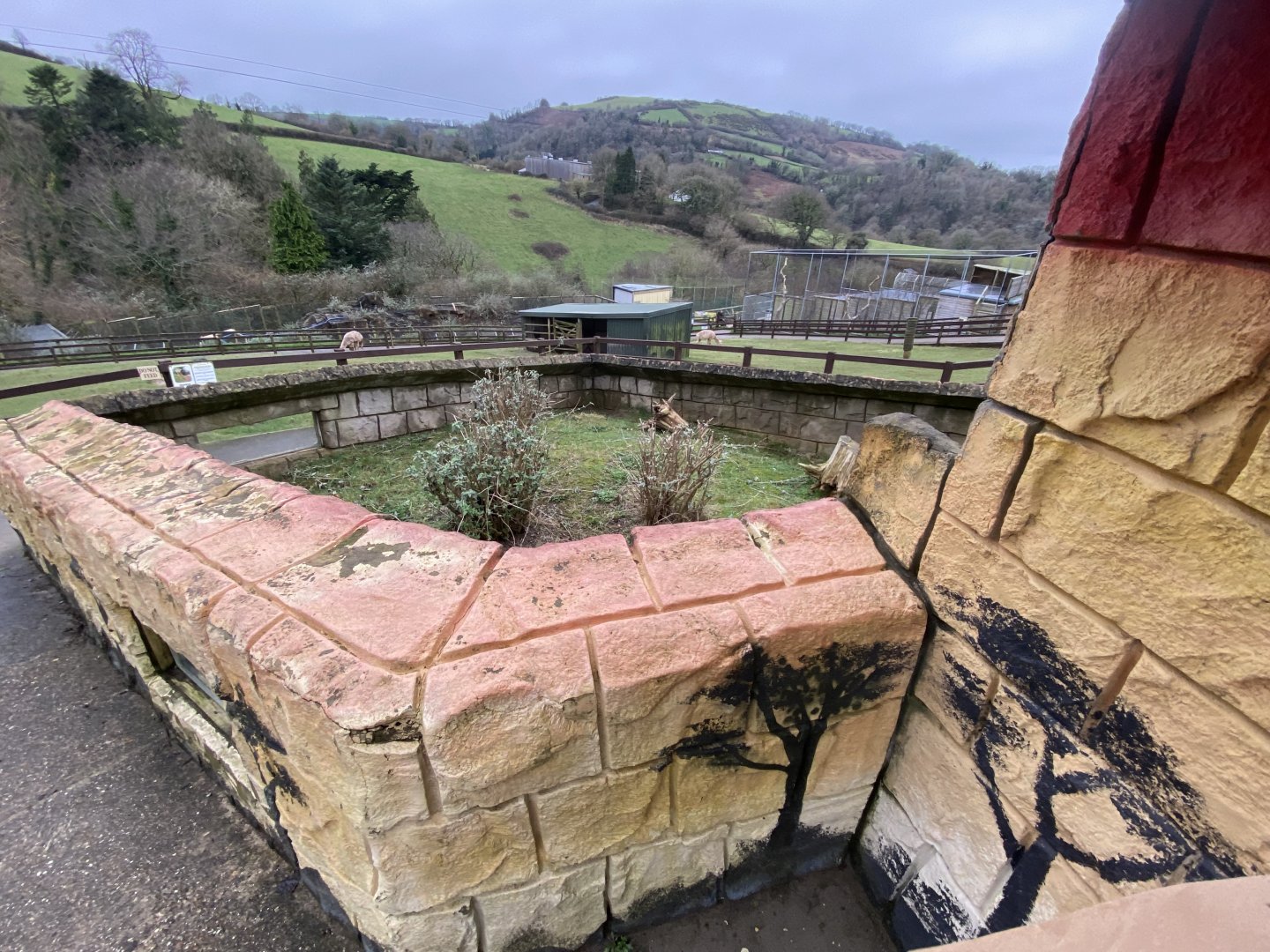 African spurred tortoise enclosure 170224