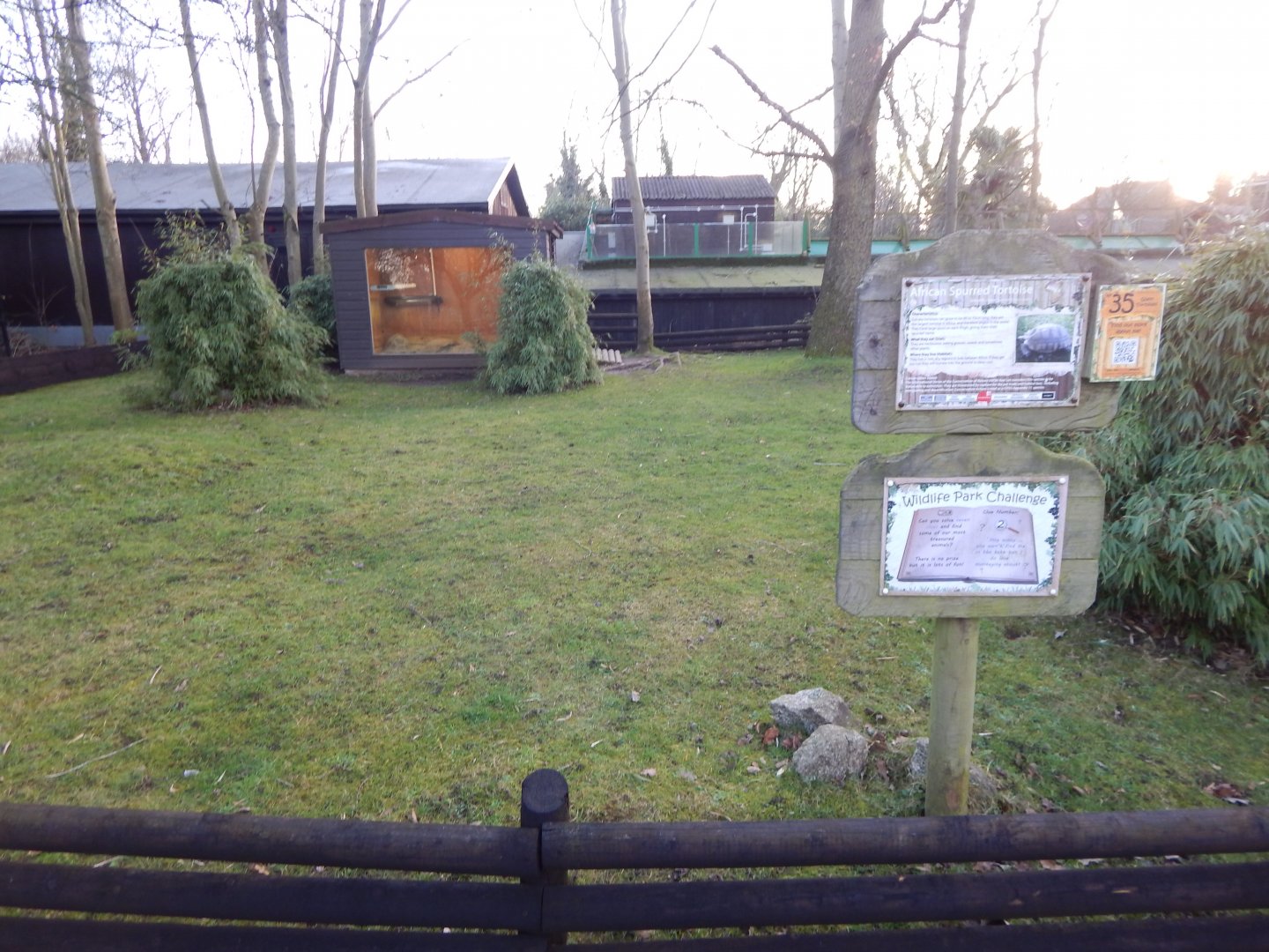African spurred tortoise enclosure 260124