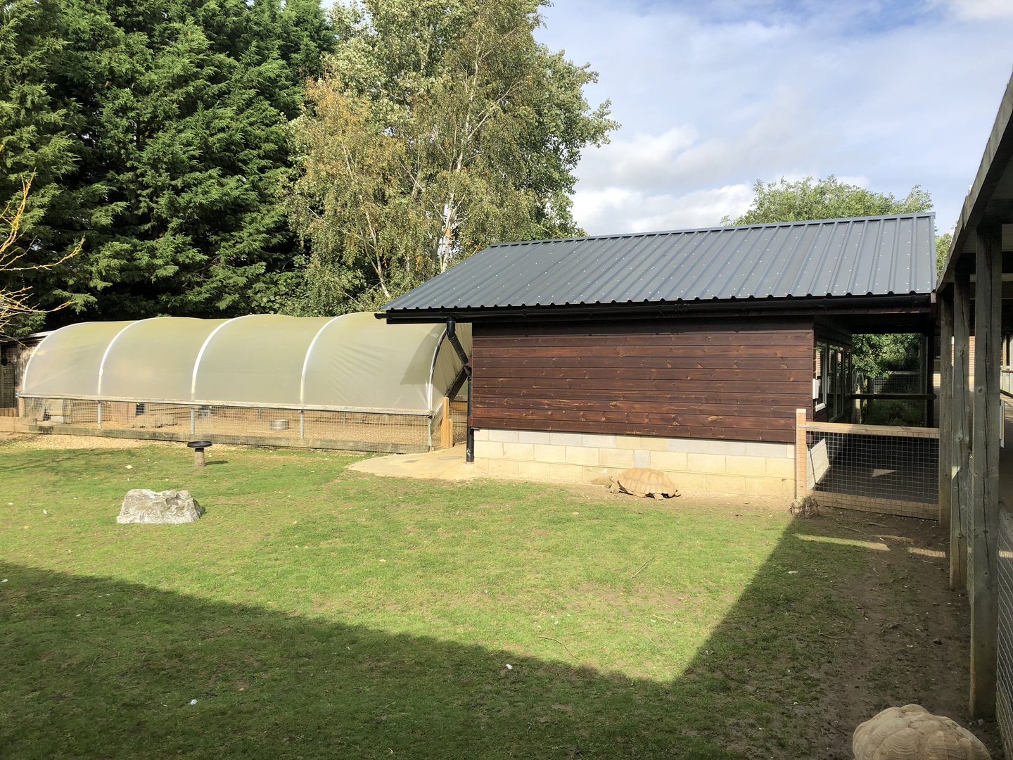 African Spurred Tortoise Enclosure at Hamerton Zoo Park (October 2023)