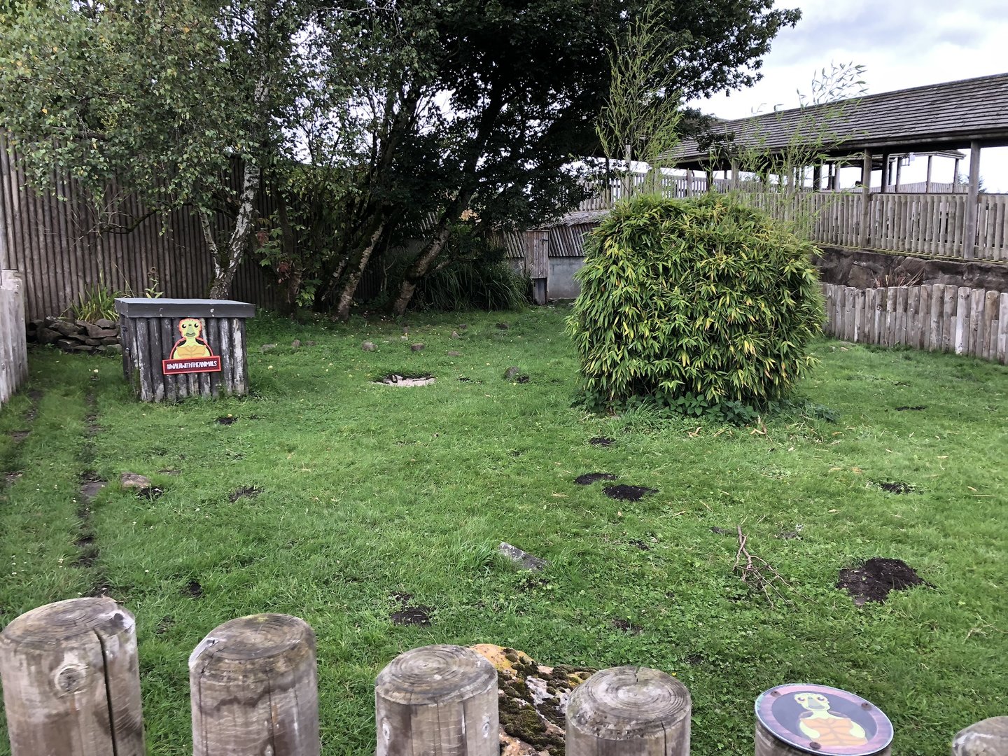 African Spurred Tortoise Enclosure at Peak Wildlife Park (August 2023)