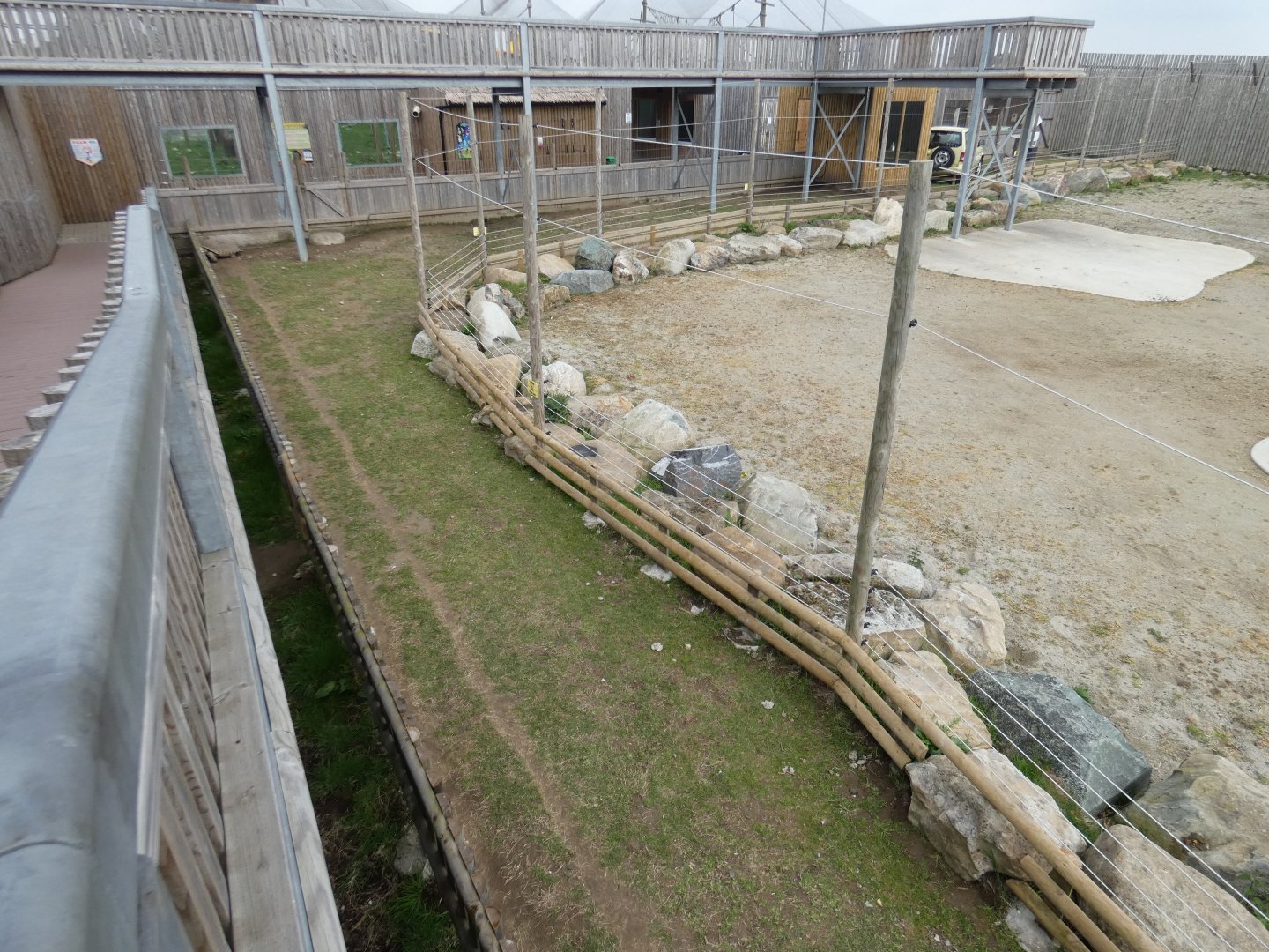 African spurred tortoise enclosure by giraffes