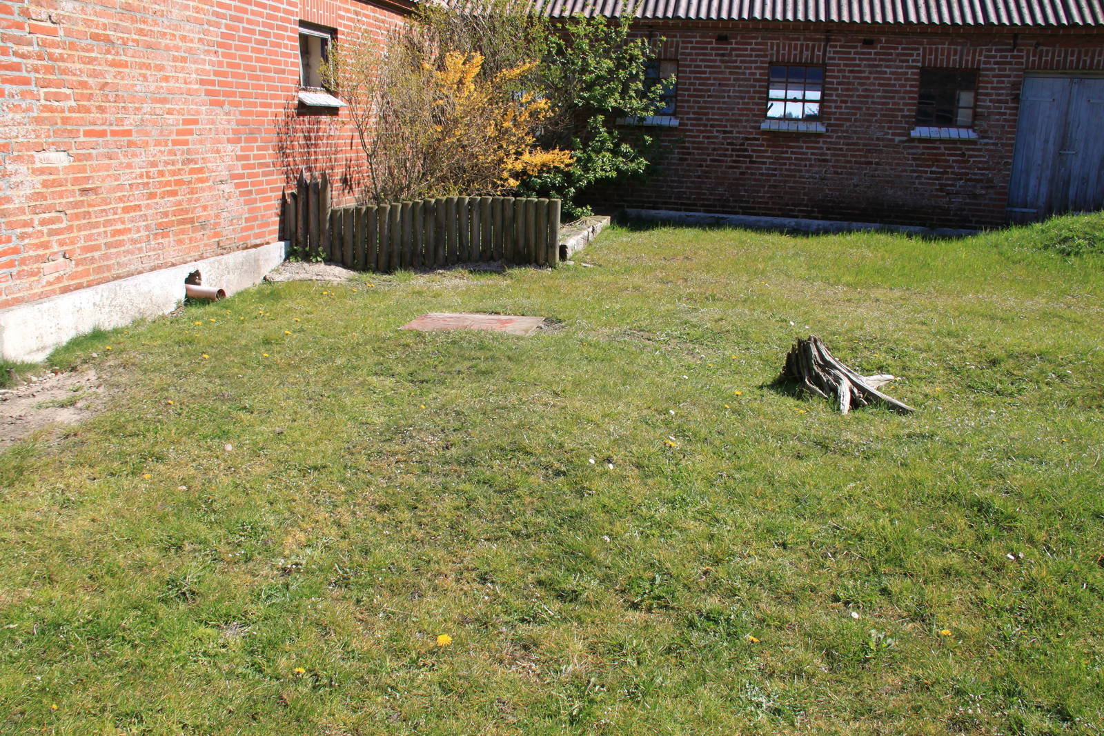 African Spurred Tortoise Enclosure