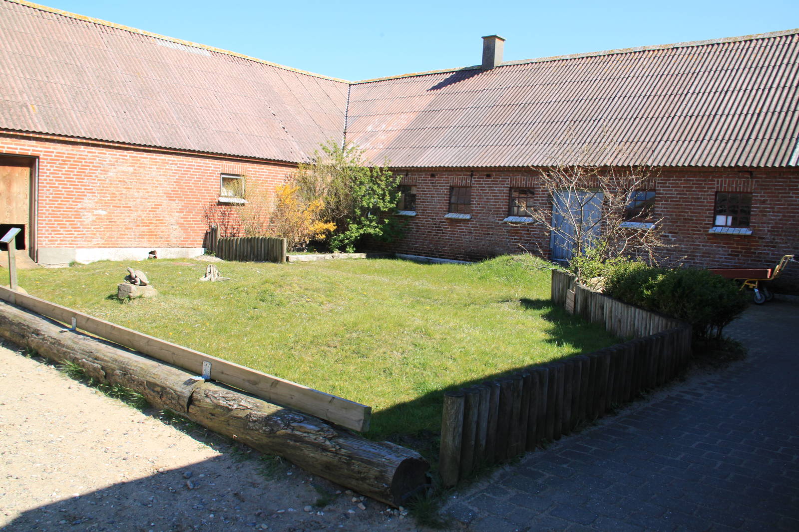 African Spurred Tortoise Enclosure