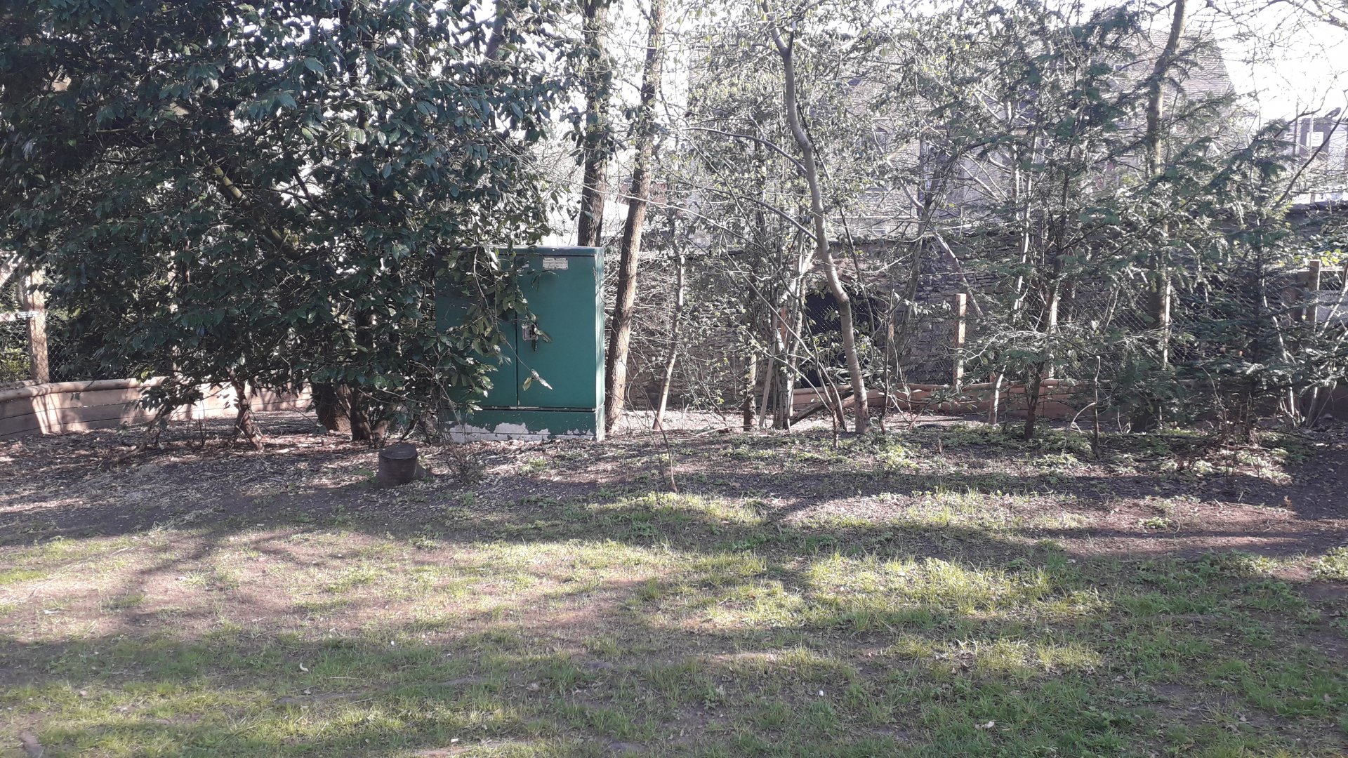 African Spurred Tortoise Enclosure