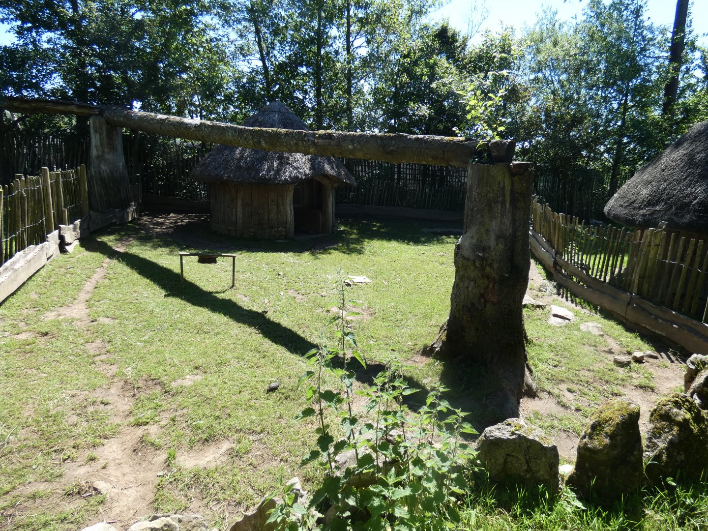 African spurred tortoise enclosure
