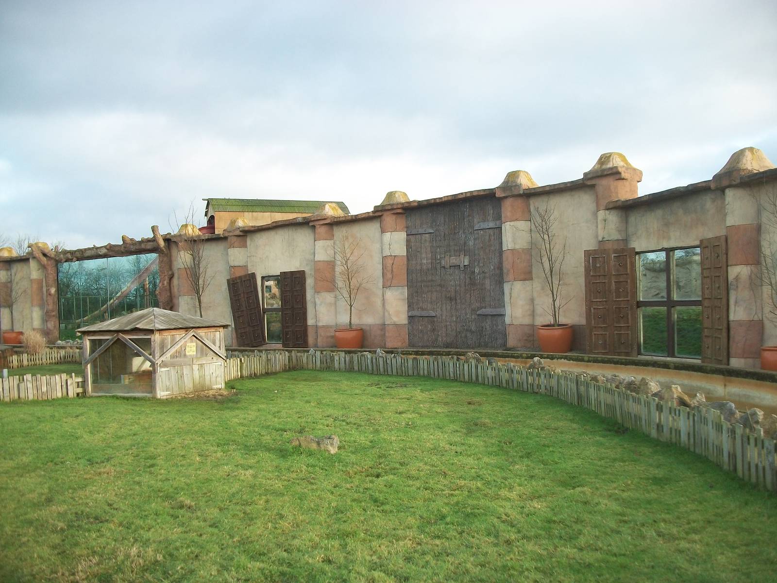 African Spurred Tortoise exhibit (front), Lions (rear) 4th January 2013