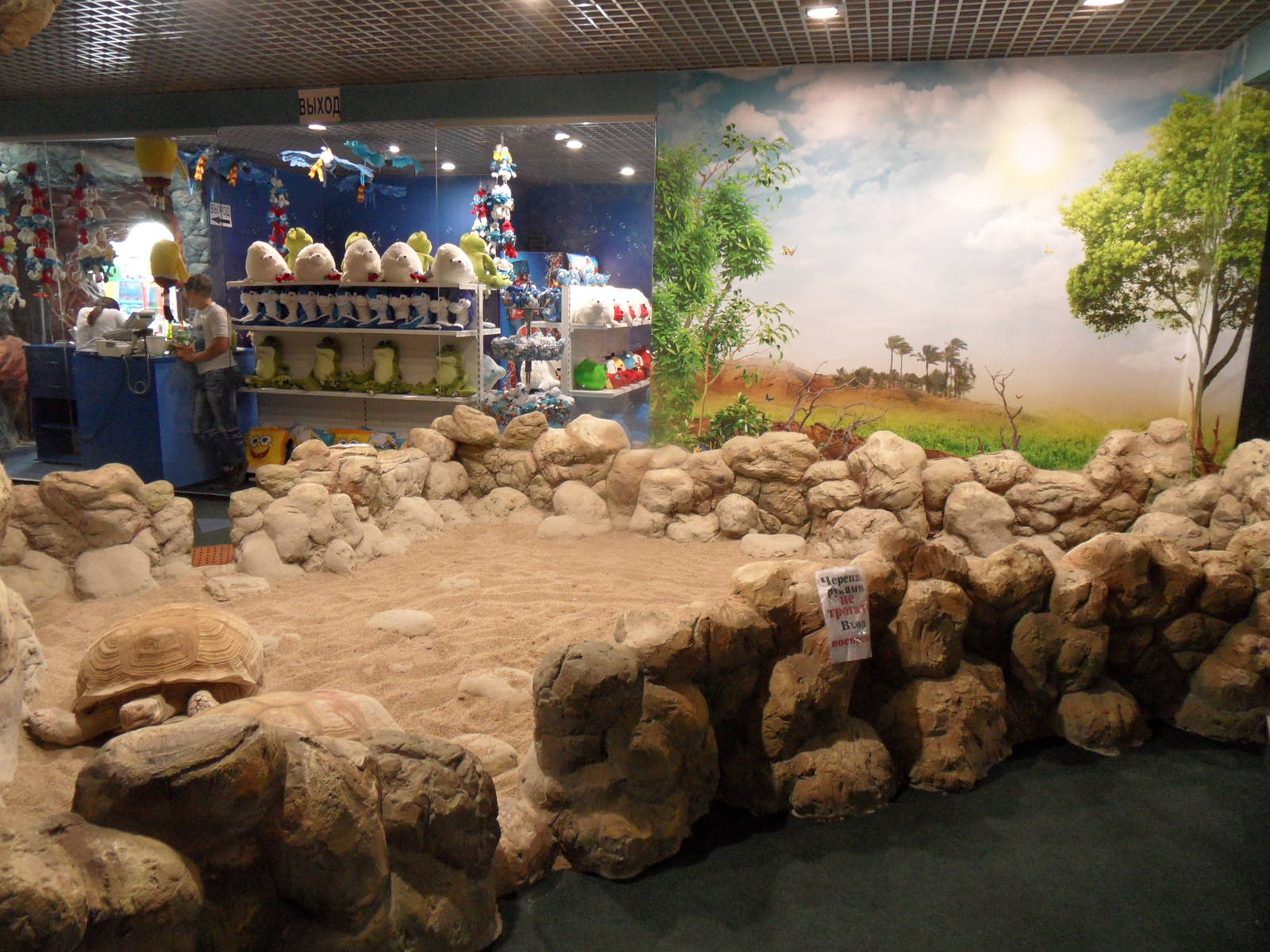 African spurred tortoise exhibit; gift shop