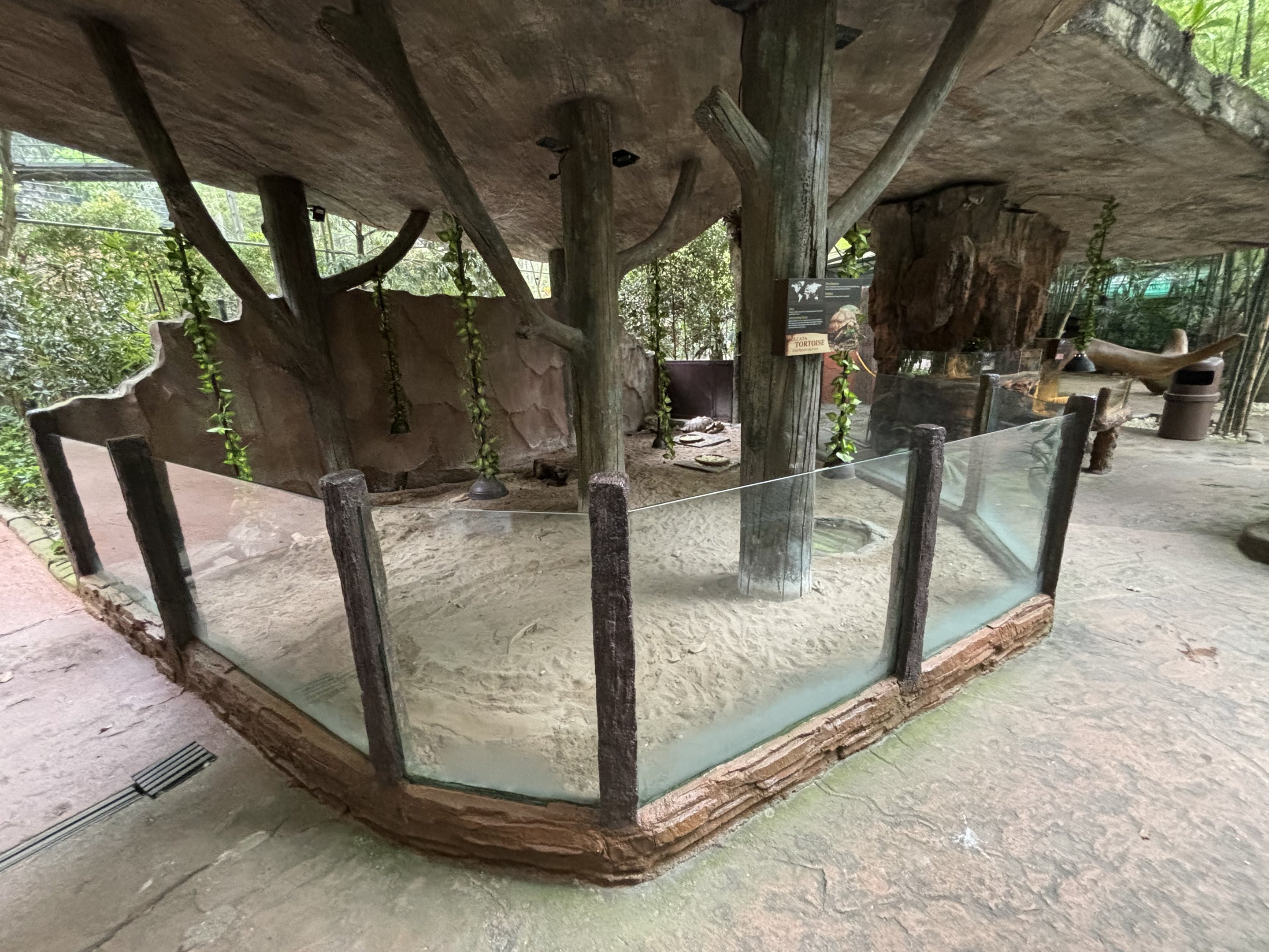 African Spurred Tortoise Exhibit - Lost World of Tambun