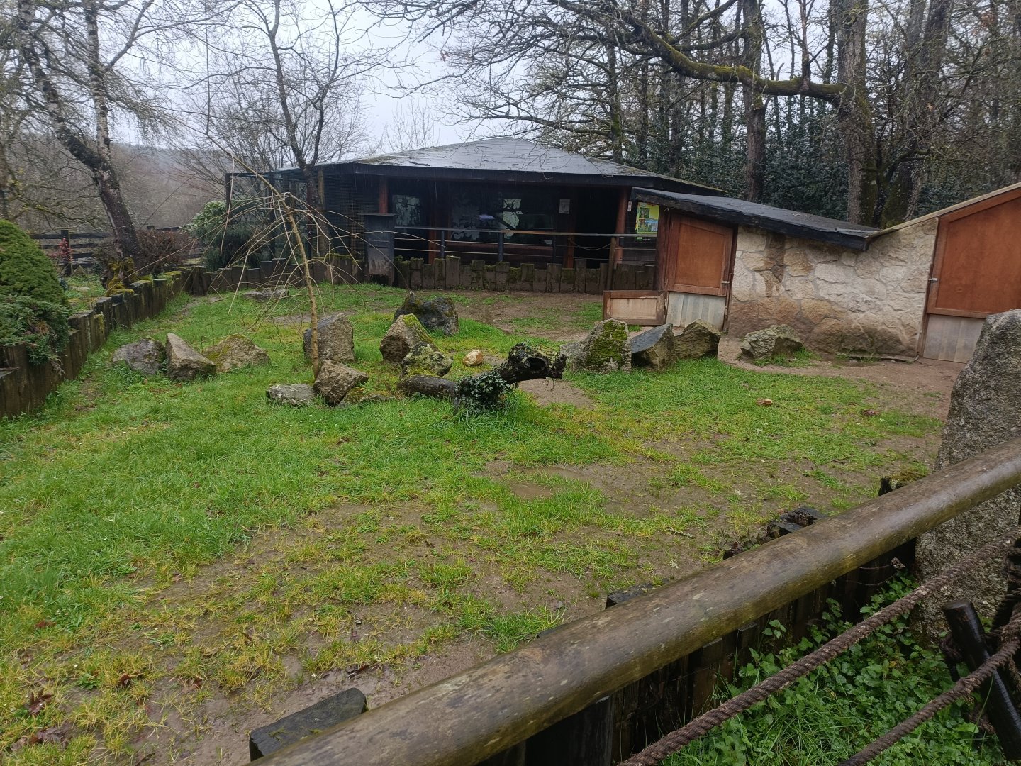 African spurred tortoise exhibit -Marcelle Naturaleza