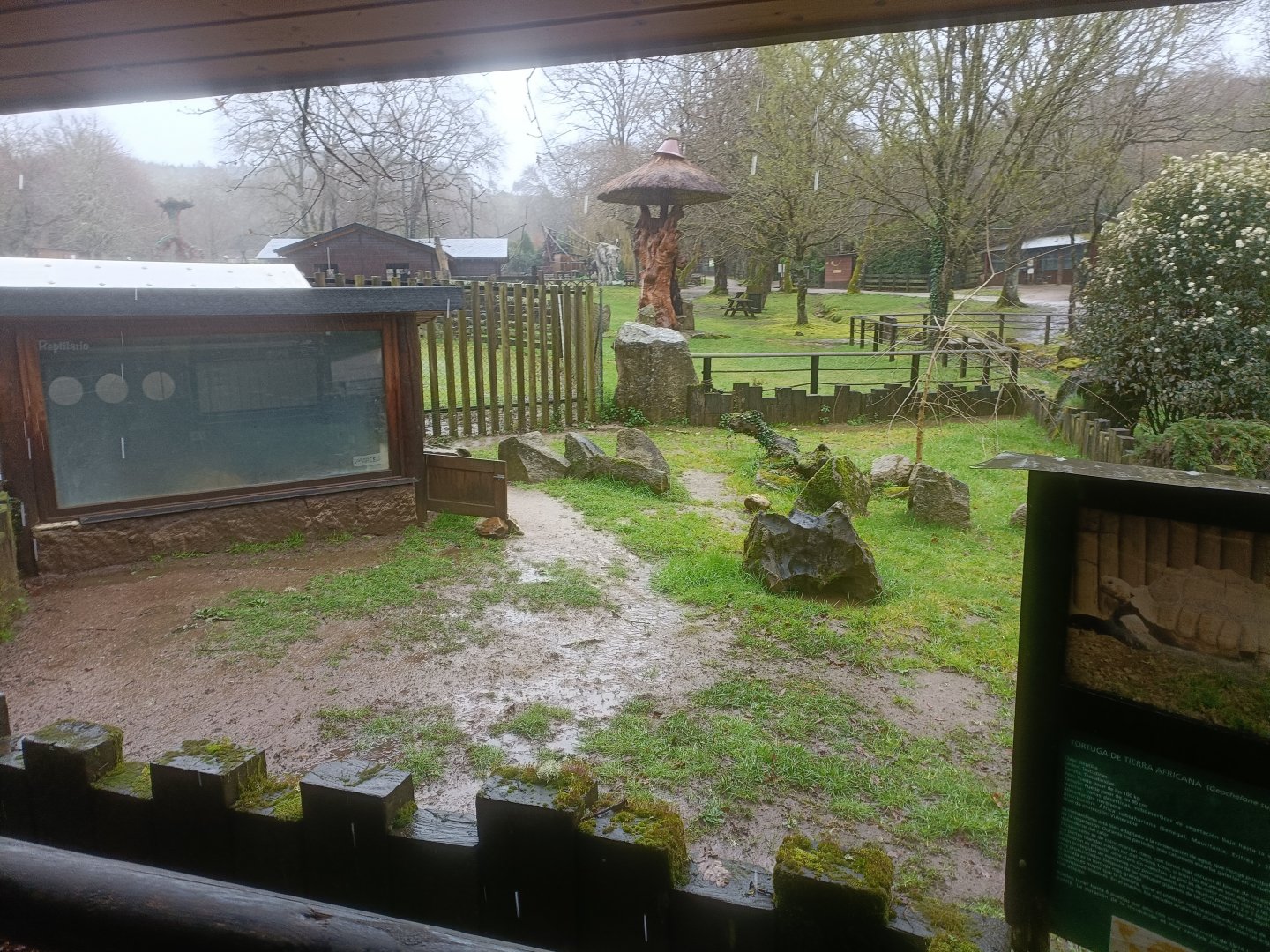 African spurred tortoise exhibit -Marcelle Naturaleza