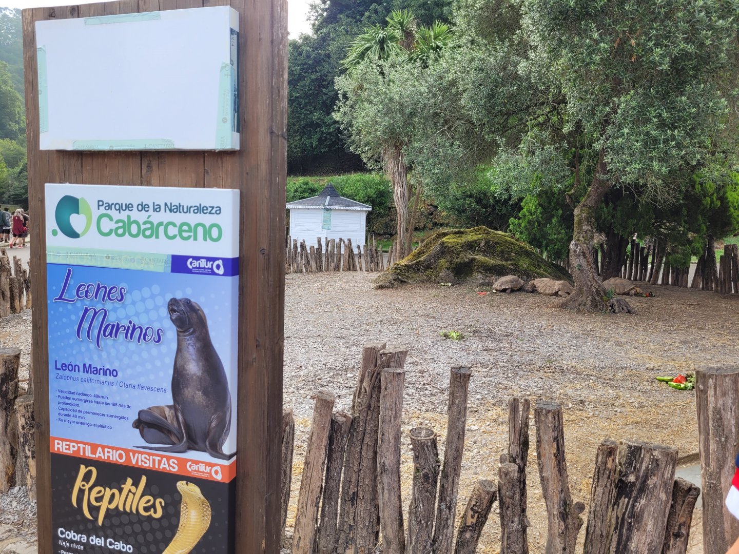 African spurred tortoise exhibit -Parque de la Naturaleza de Cabárceno (2022)