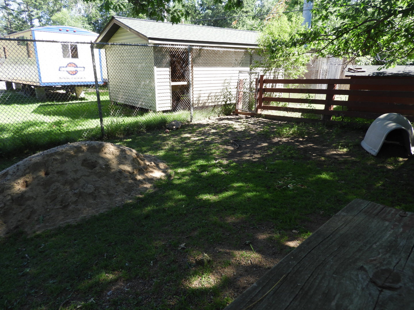 African Spurred Tortoise exhibit (second half) + renovations - Children's Petting Zoo - Wisconsin Rapids Municipal Zoo