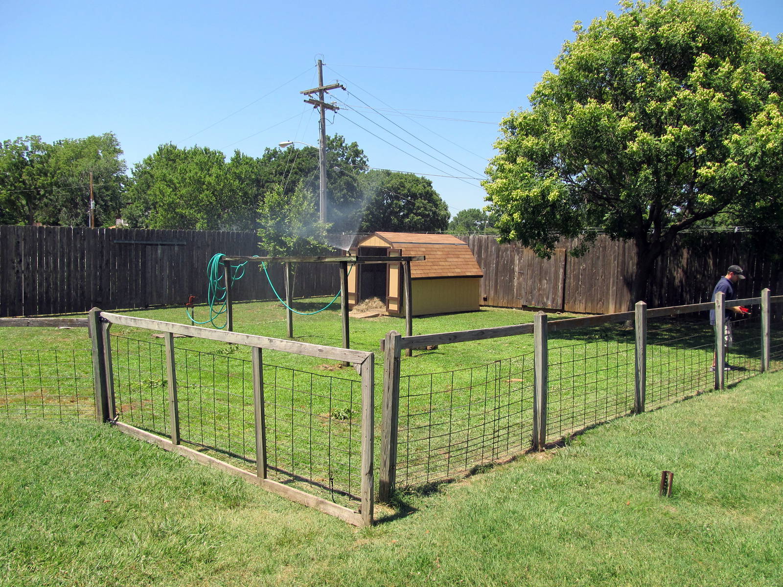 African Spurred Tortoise Exhibit
