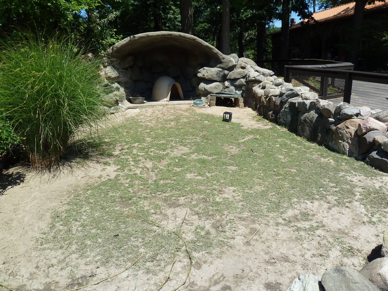 African Spurred Tortoise Exhibit