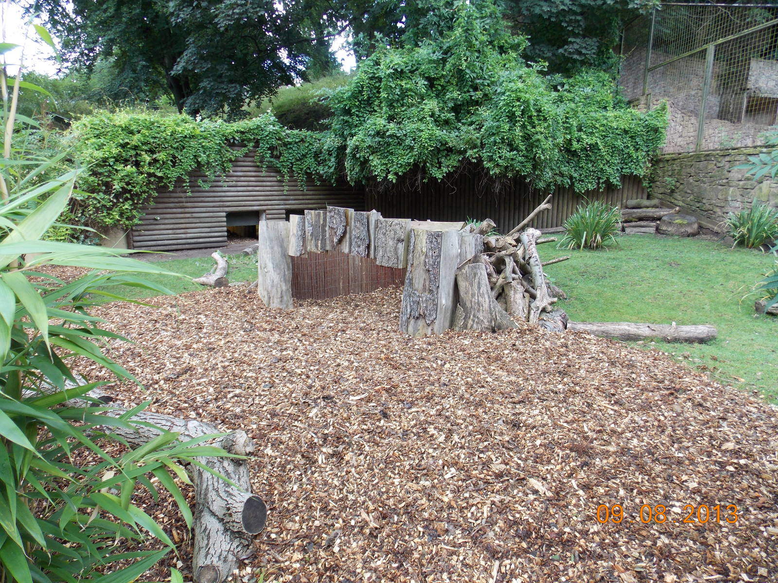 African spurred tortoise exhibit