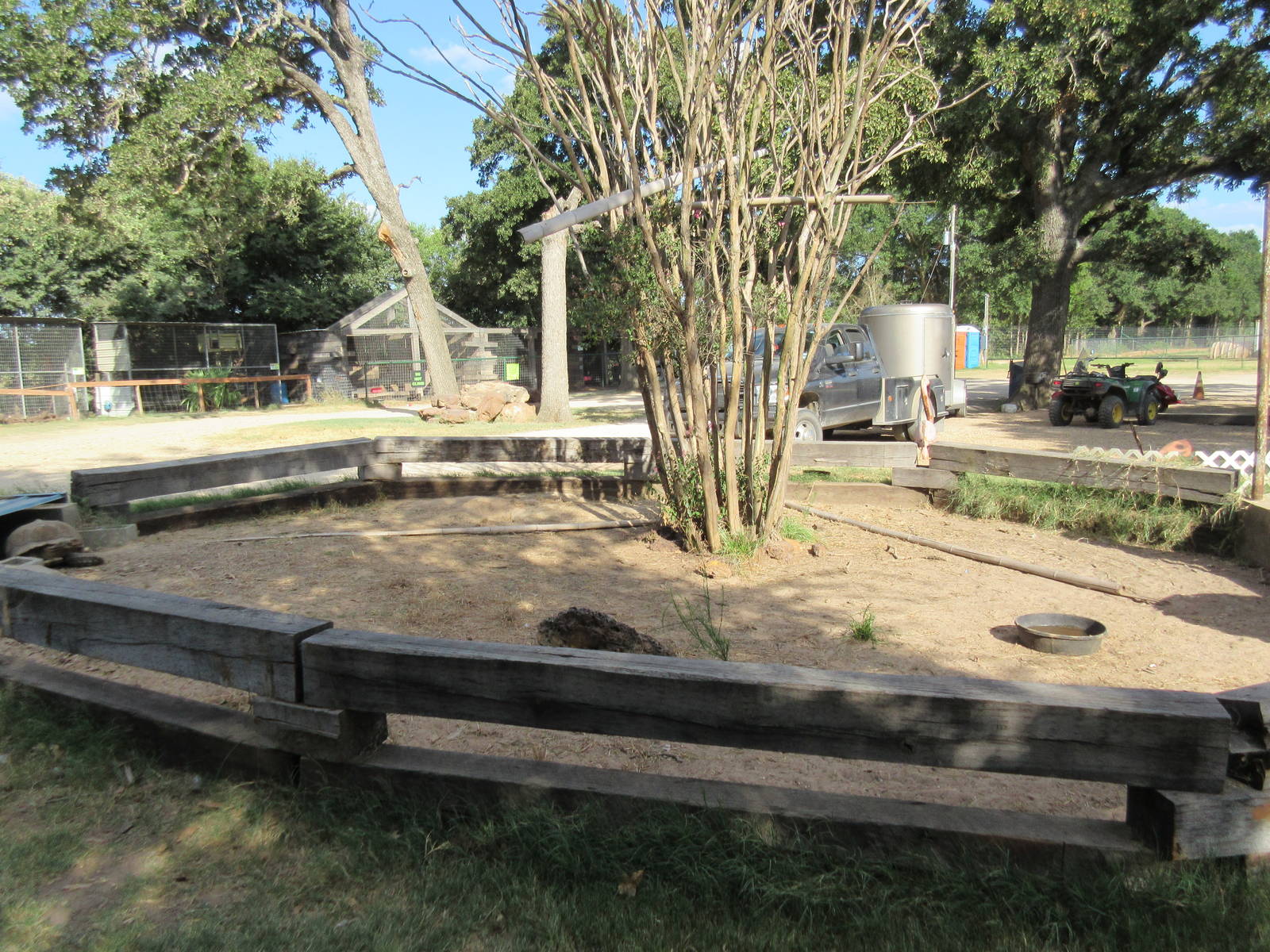 African Spurred Tortoise Exhibit