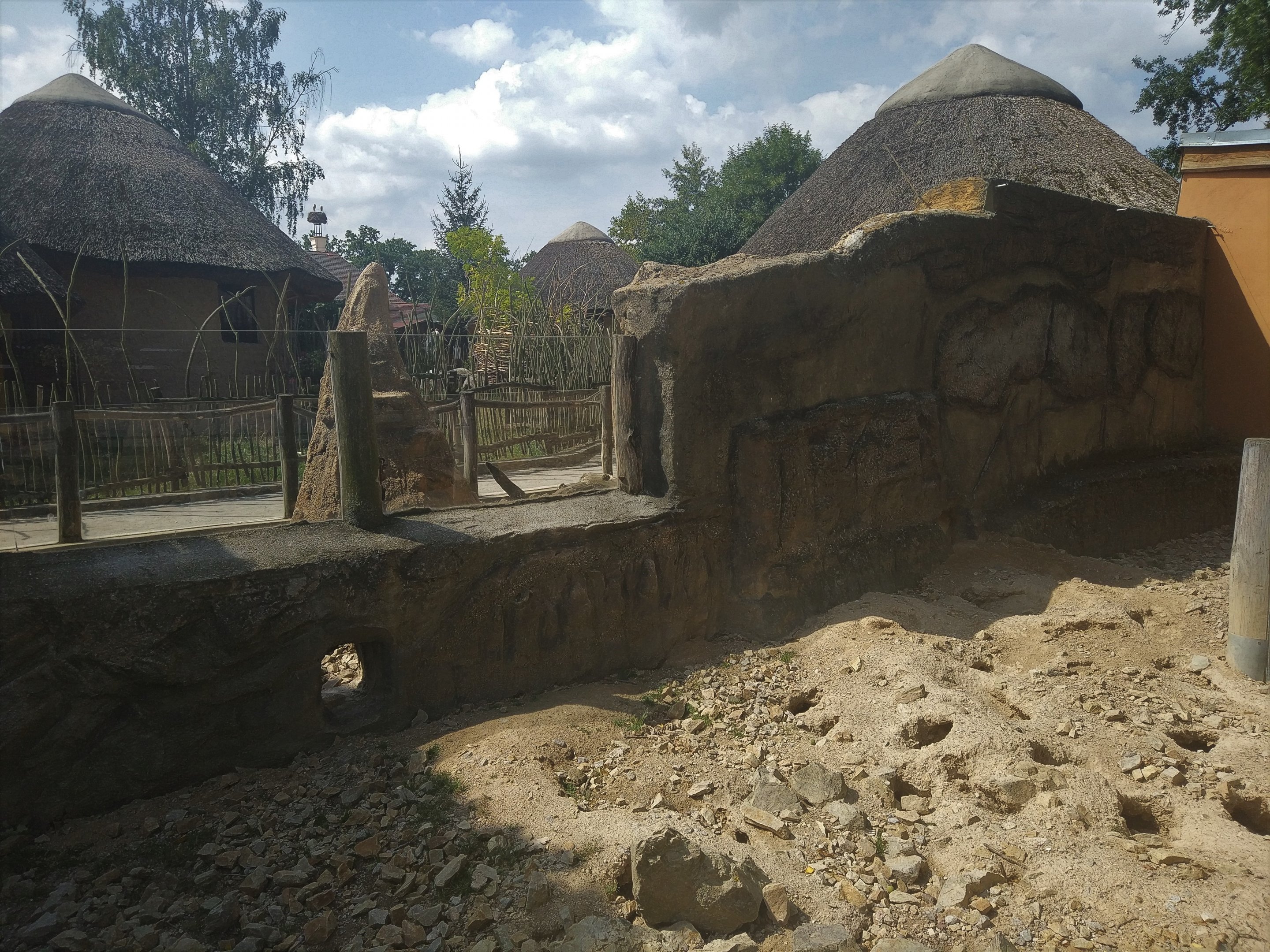 African Spurred Tortoise Exhibit