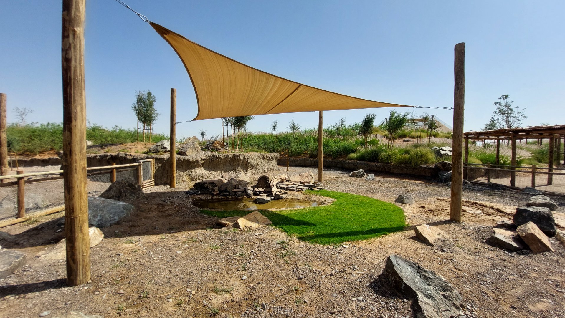 African Spurred Tortoise exhibit