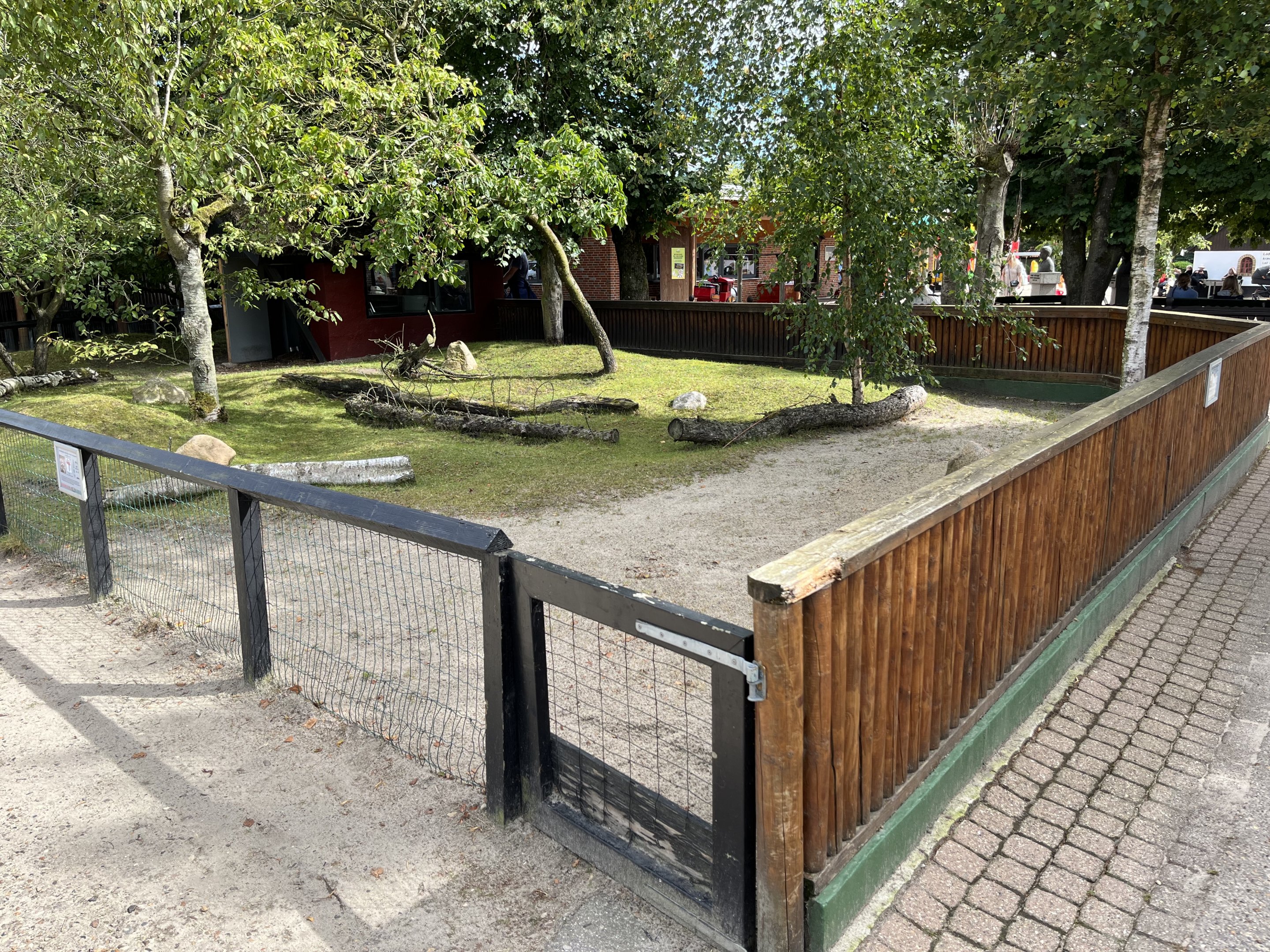 African Spurred Tortoise Exhibit