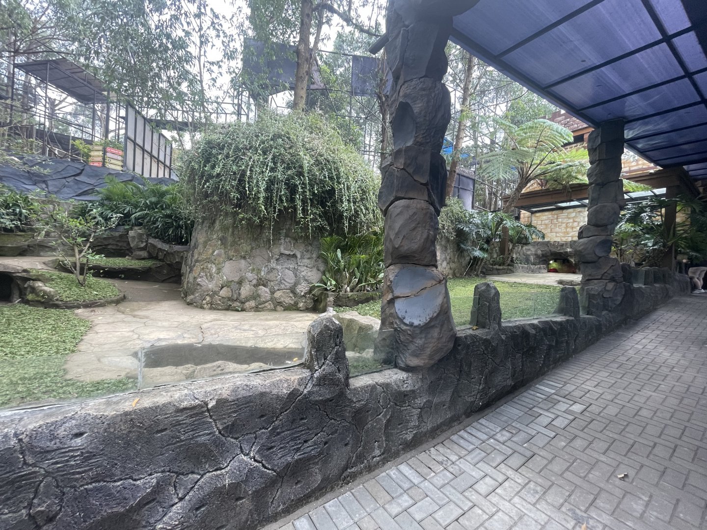 african spurred tortoise exhibit