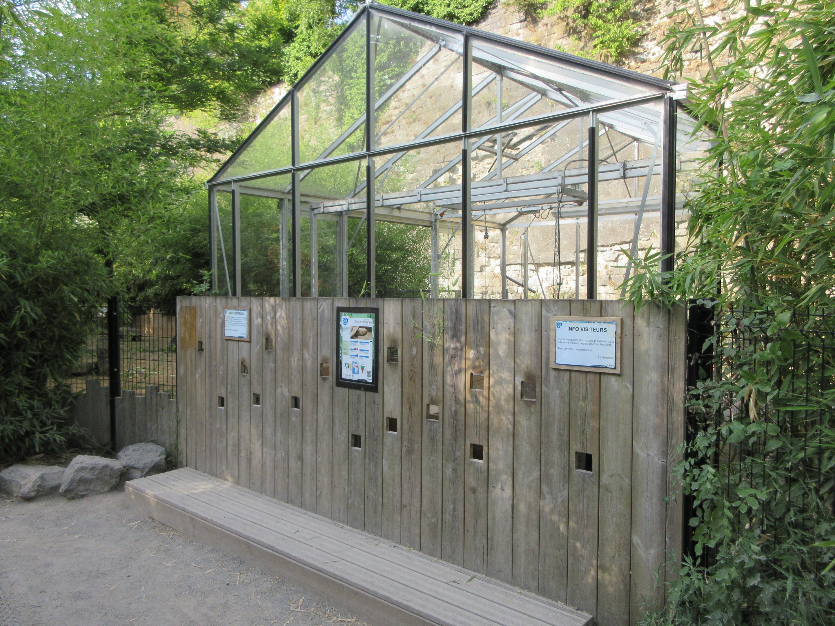 African Spurred Tortoise House