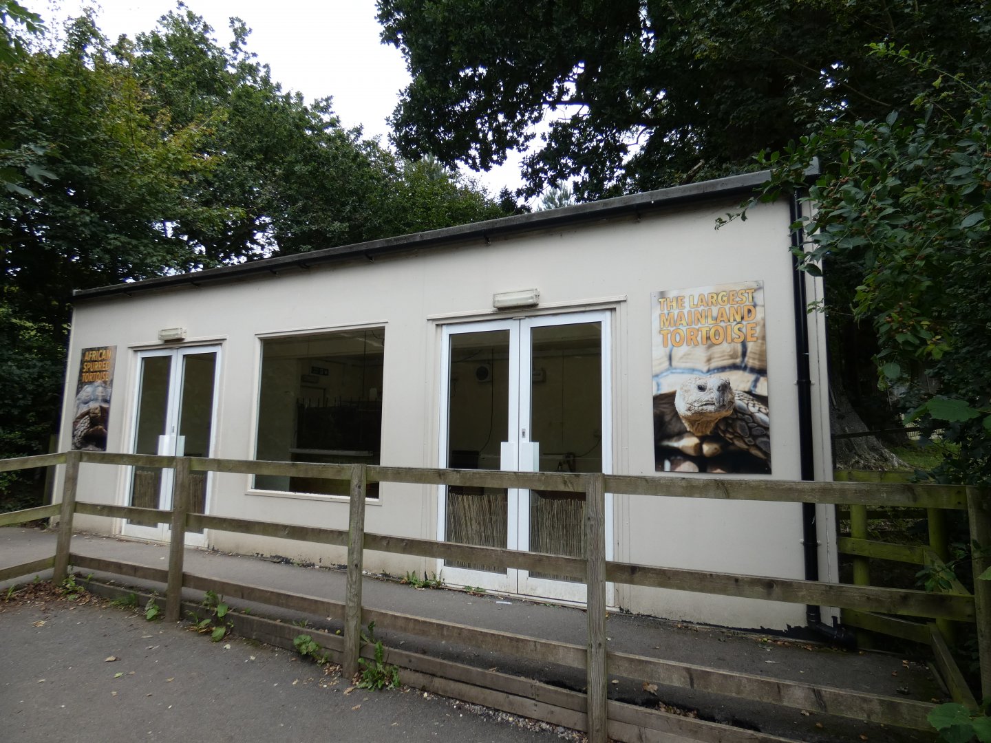 African Spurred Tortoise house