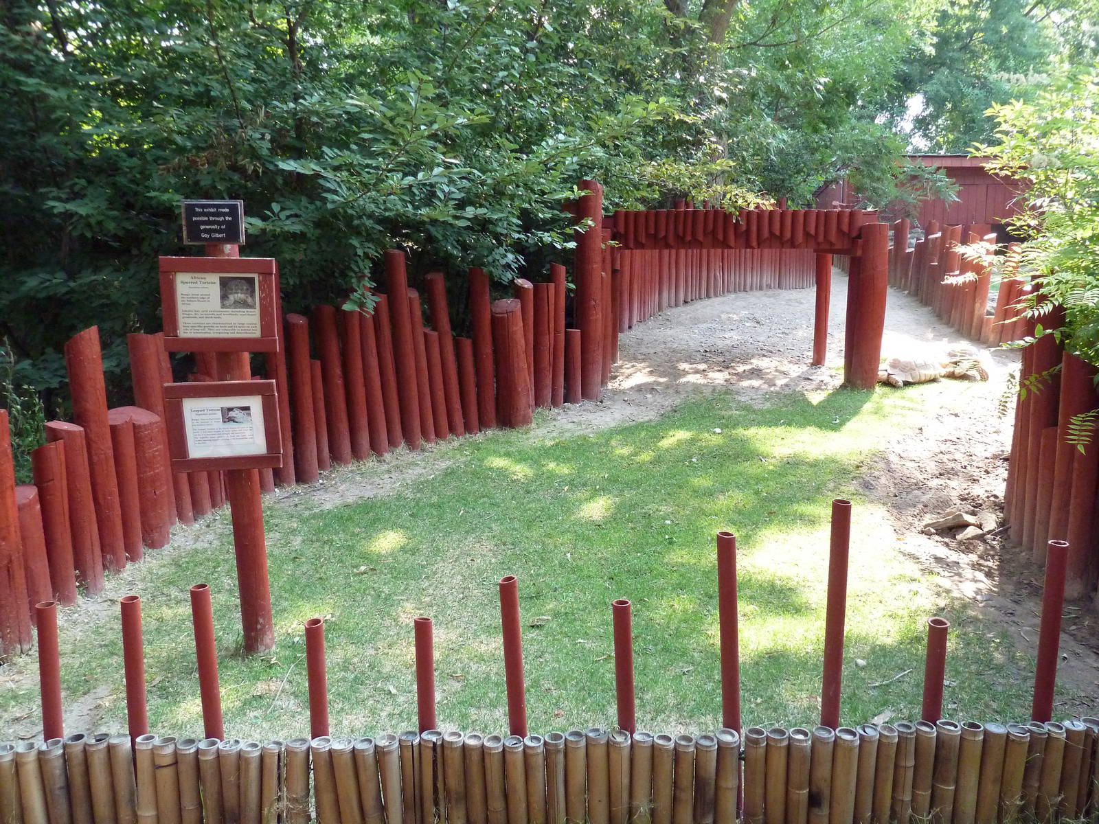 African Spurred Tortoise/Leopard Tortoise Exhibit