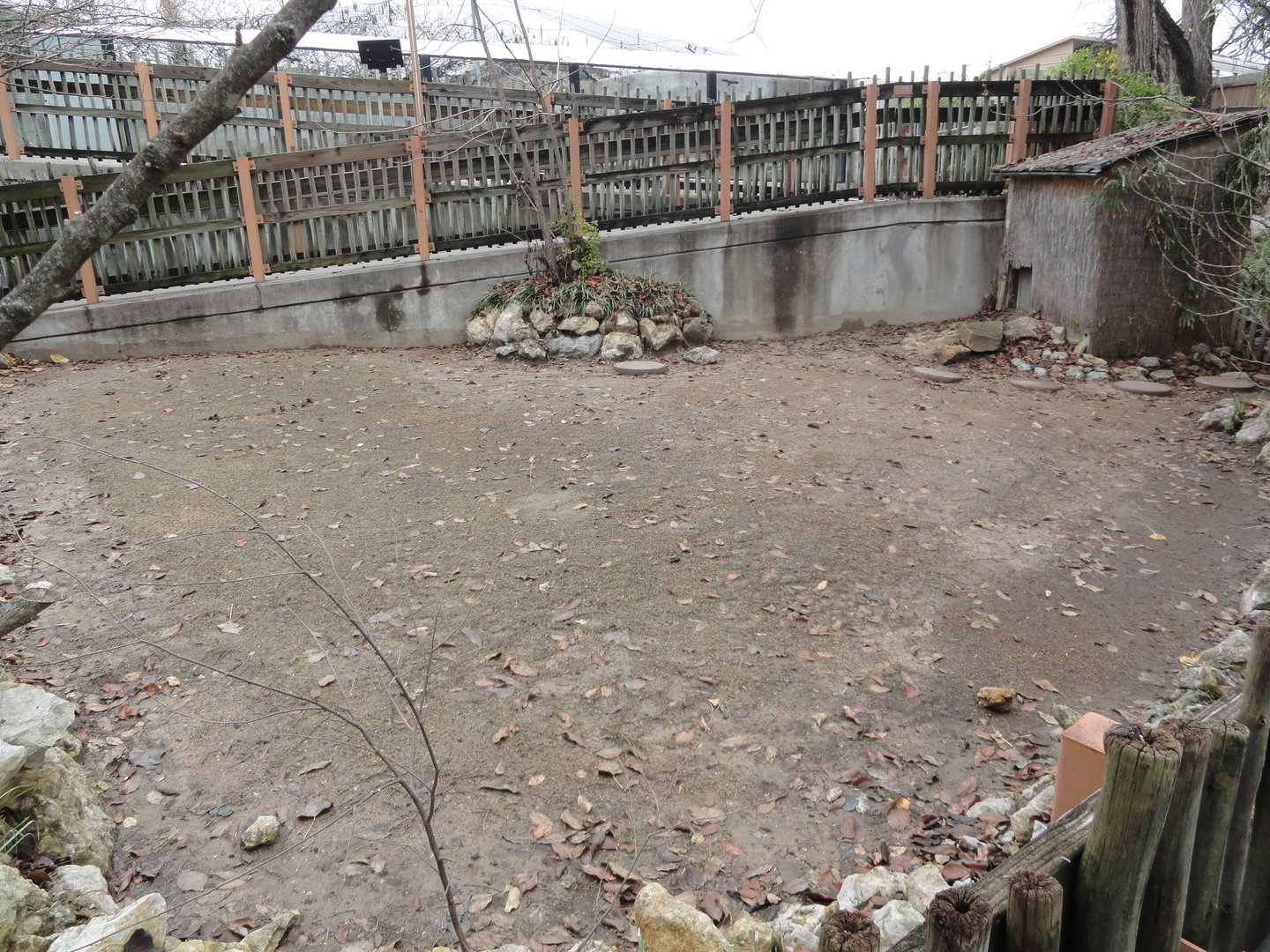 African Spurred Tortoise & Leopard Tortoise Exhibit