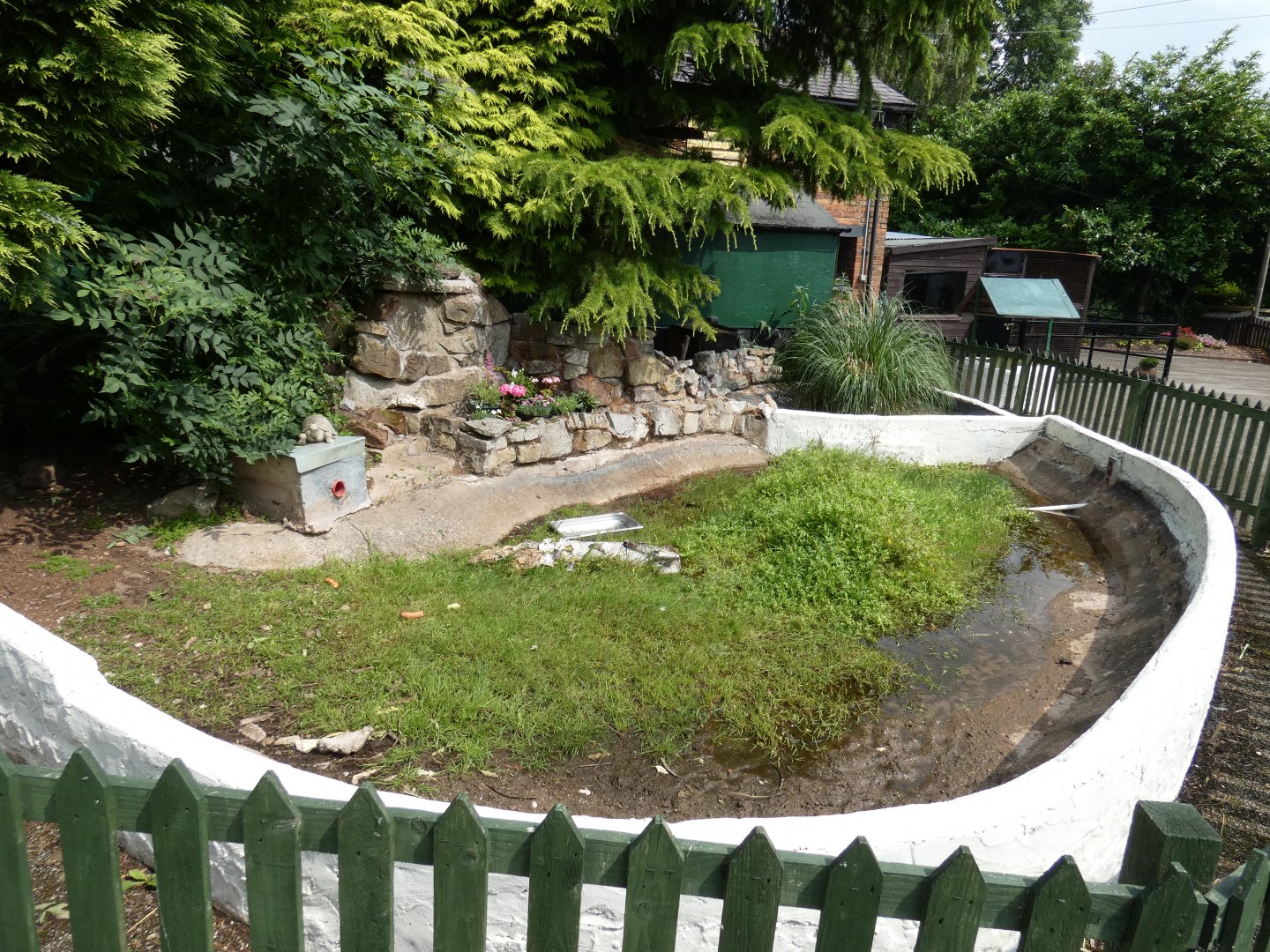 African spurred tortoise outdoor enclosure (Greenacres Animal Park)