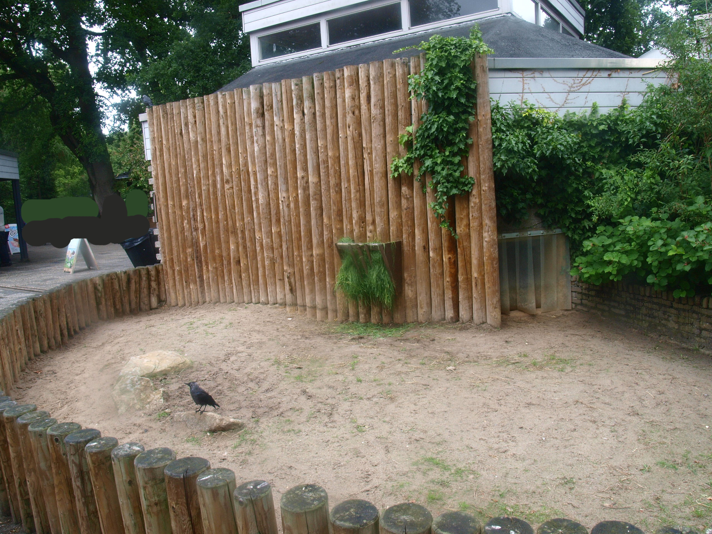 African spurred tortoise outdoor exhibit next to the Africa House, 2015-07-19