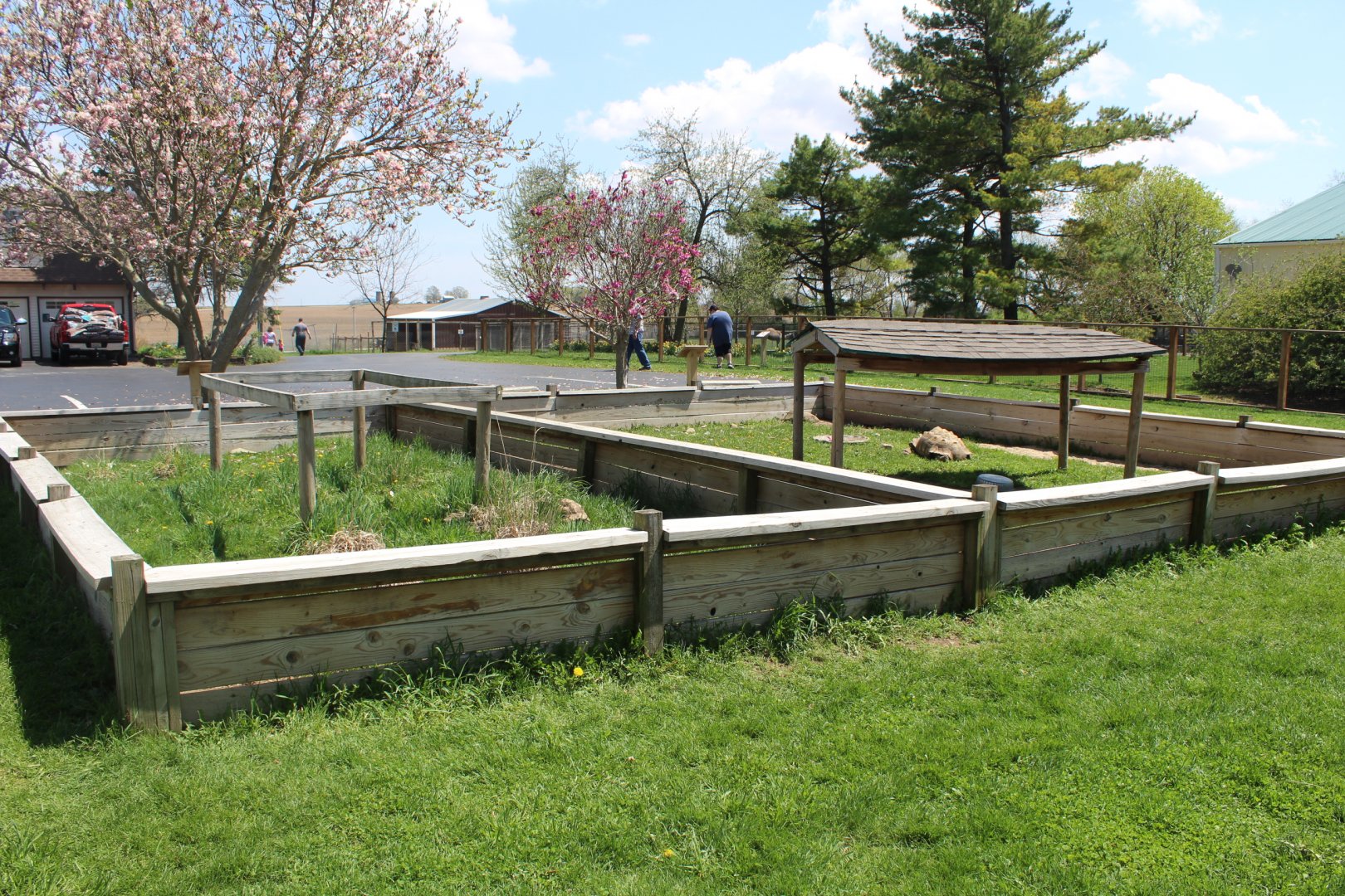 African Spurred Tortoise Pens