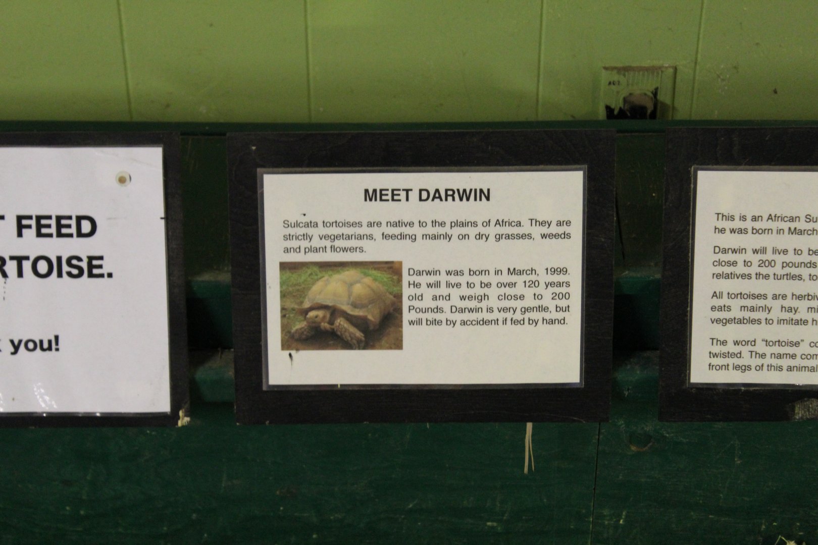 African Spurred Tortoise Sign