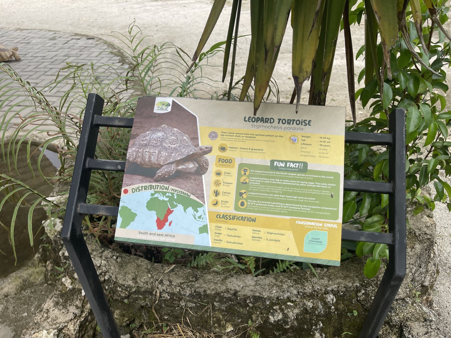 african spurred tortoise signage - aviary park