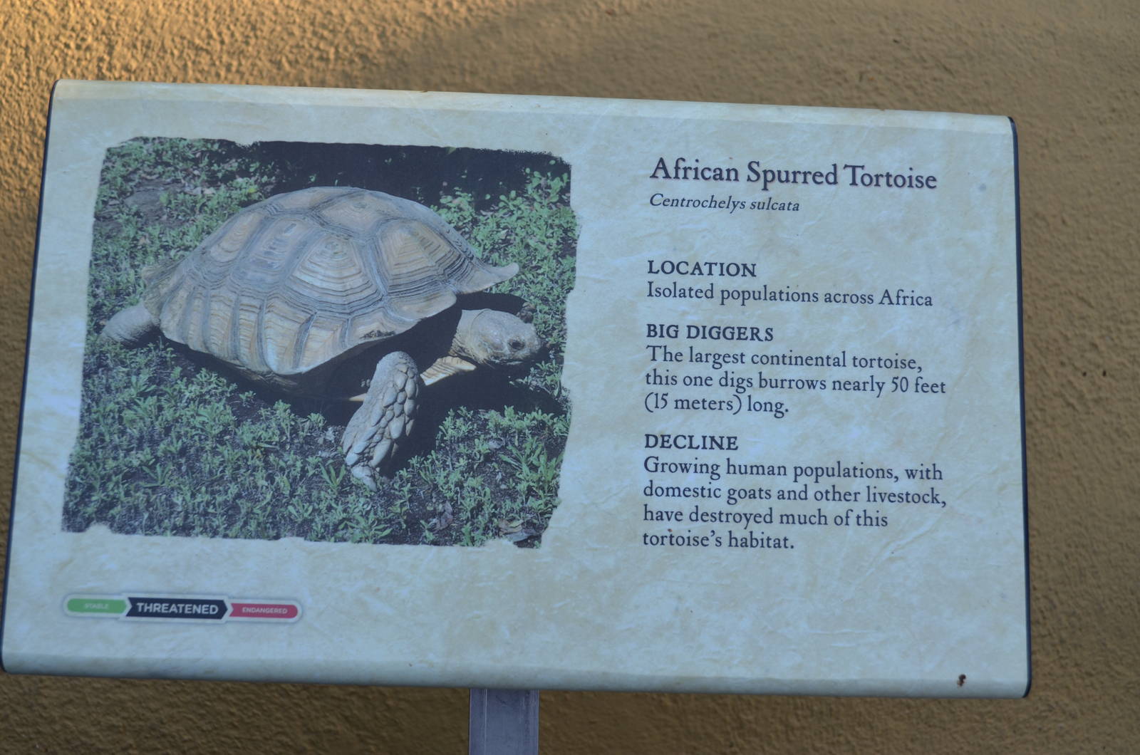African Spurred Tortoise Signage