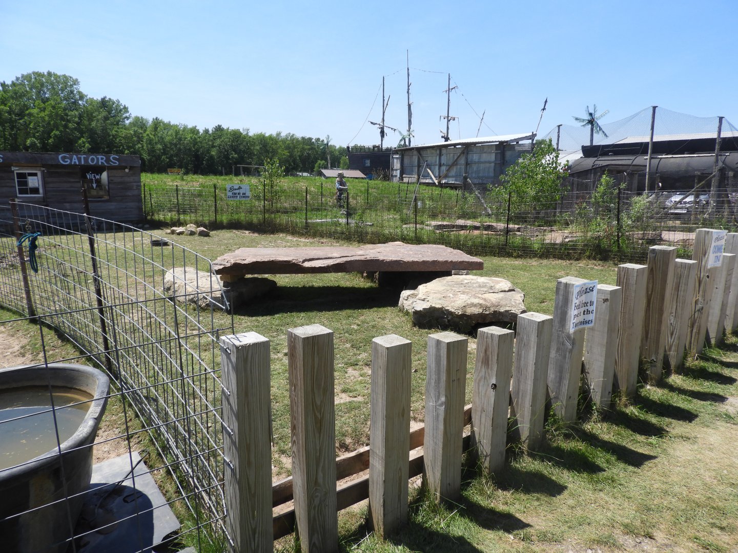 African Spurred Tortoise walk-through exhibit