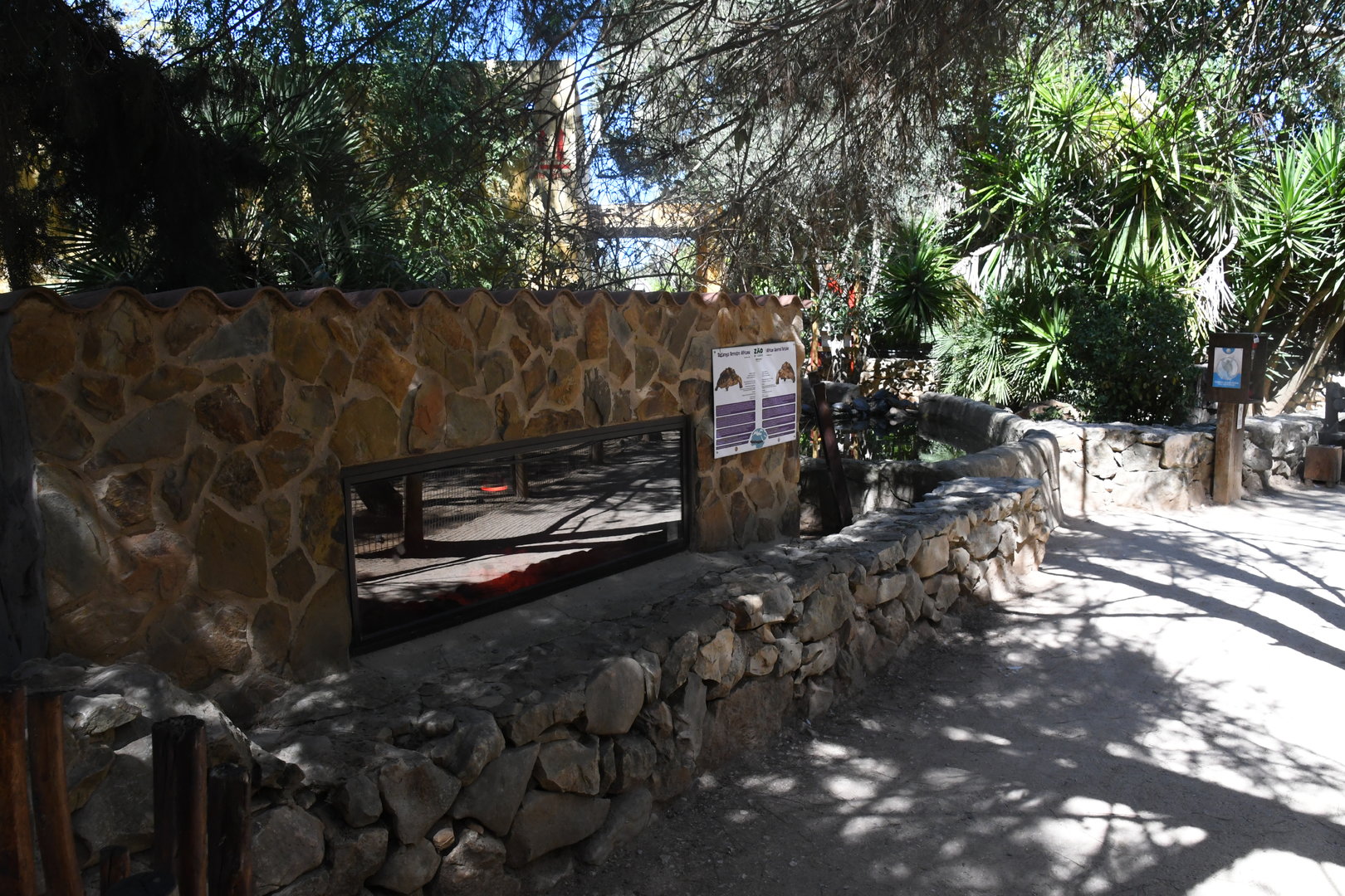 African Spurred Tortoises den