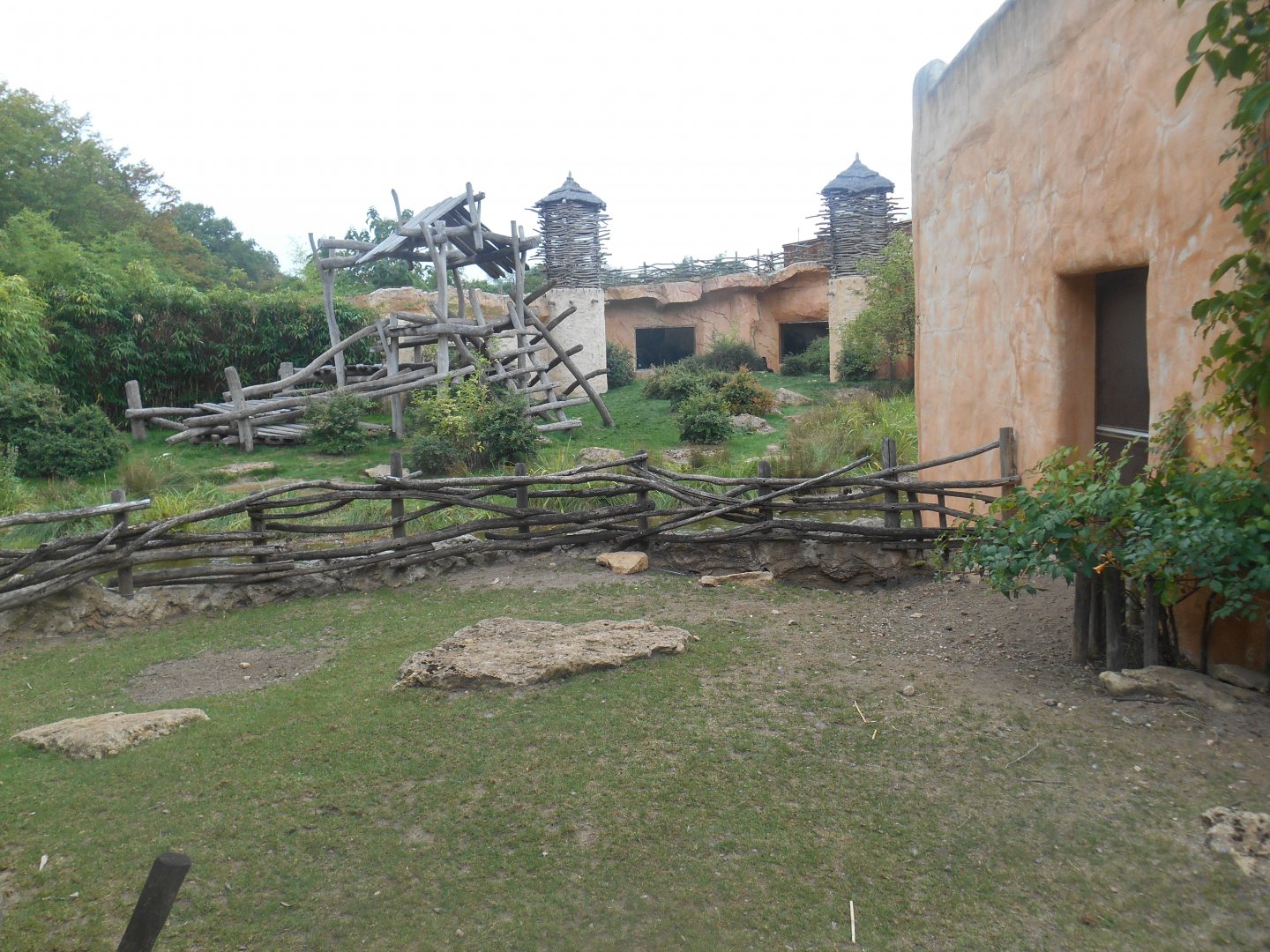 African Spurred Tortoises Exhibit