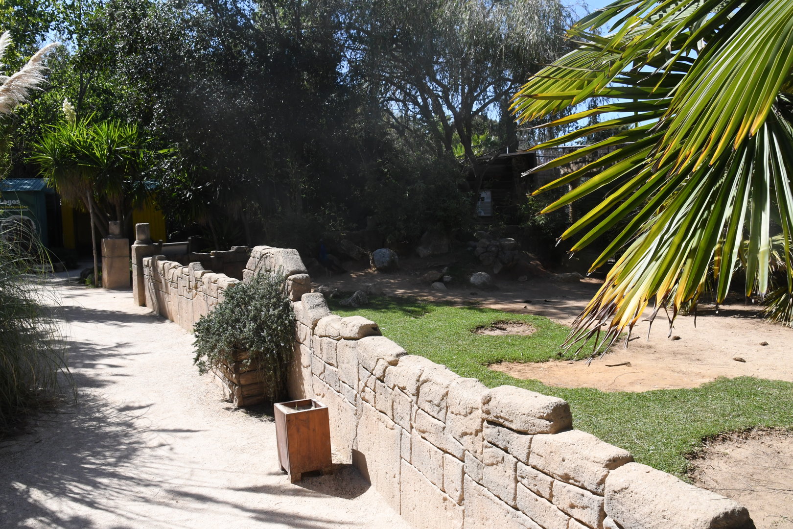 African Spurred Tortoises exhibit