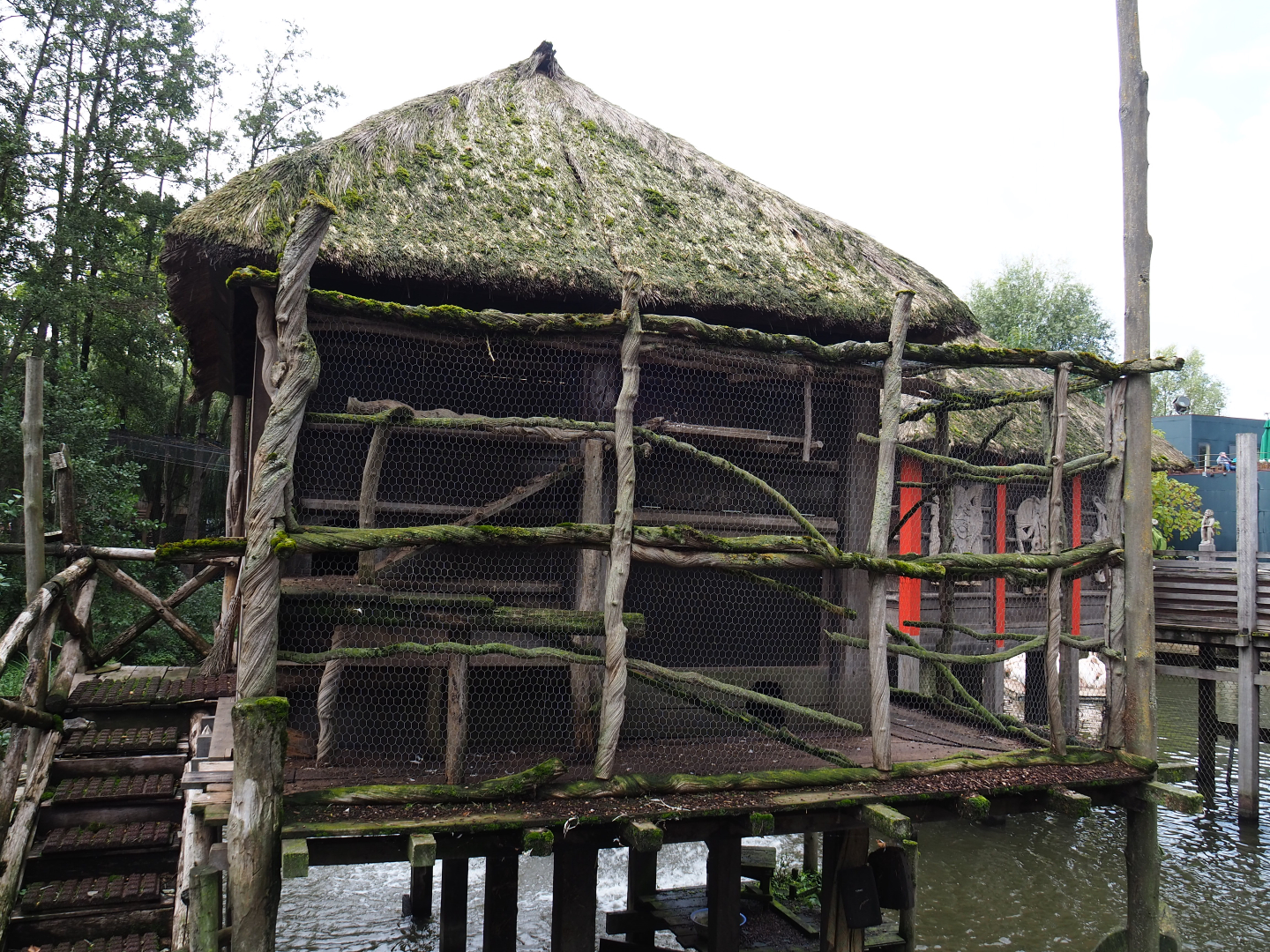 African stilt village - Chicken coop, 2019-10-04