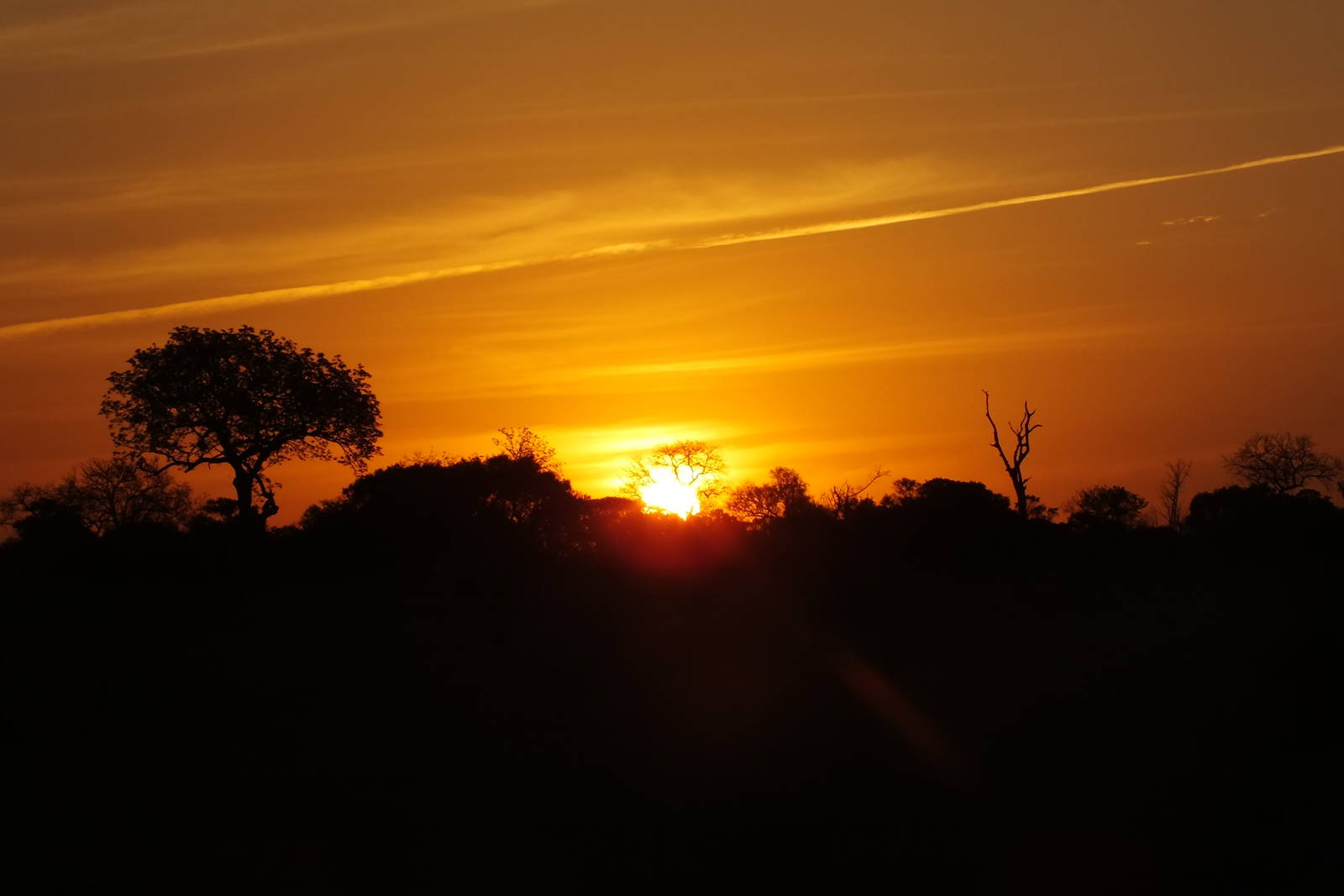 African Sunset