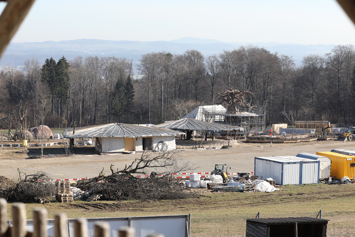 African svanna construction (2020)