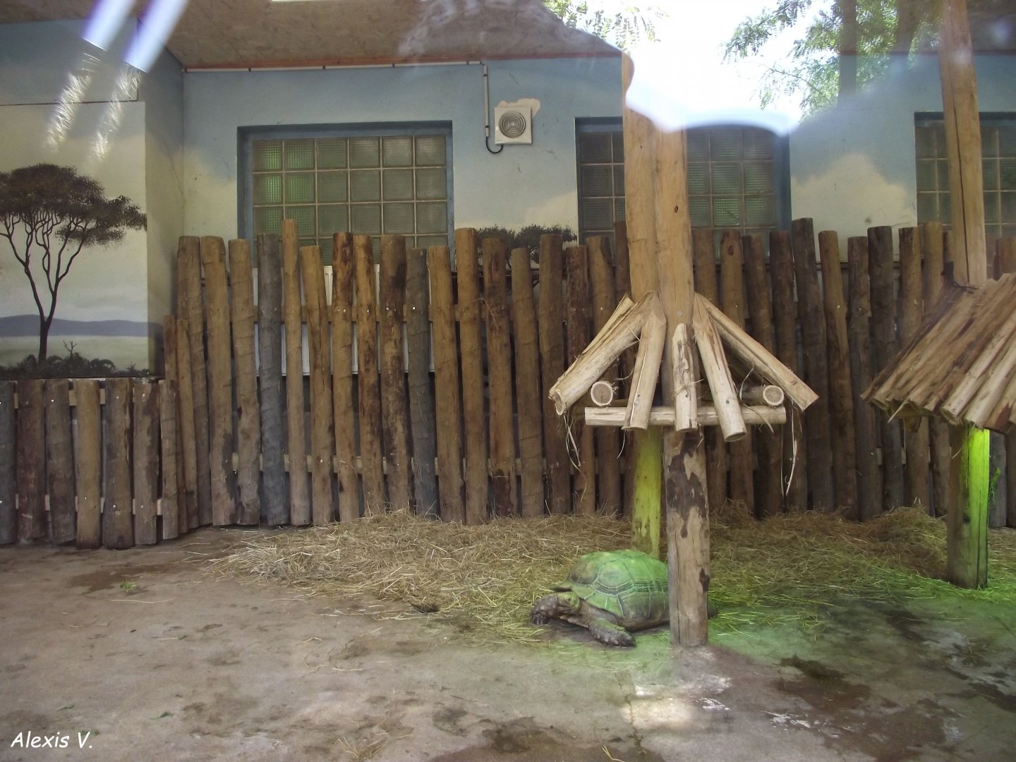 African Tortoises' night shelter - Zooparc de Beauval - 08/2022