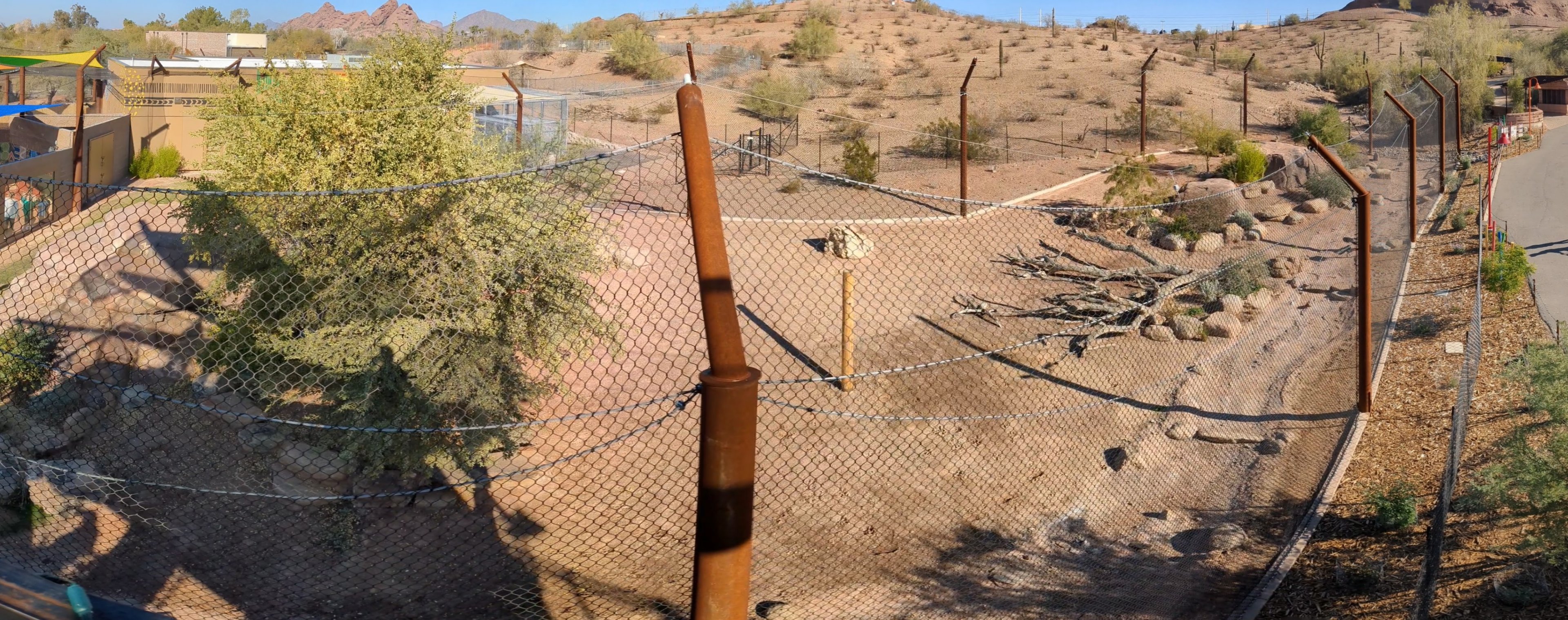 African Trail Predator Passage - African Lion enclosure from above